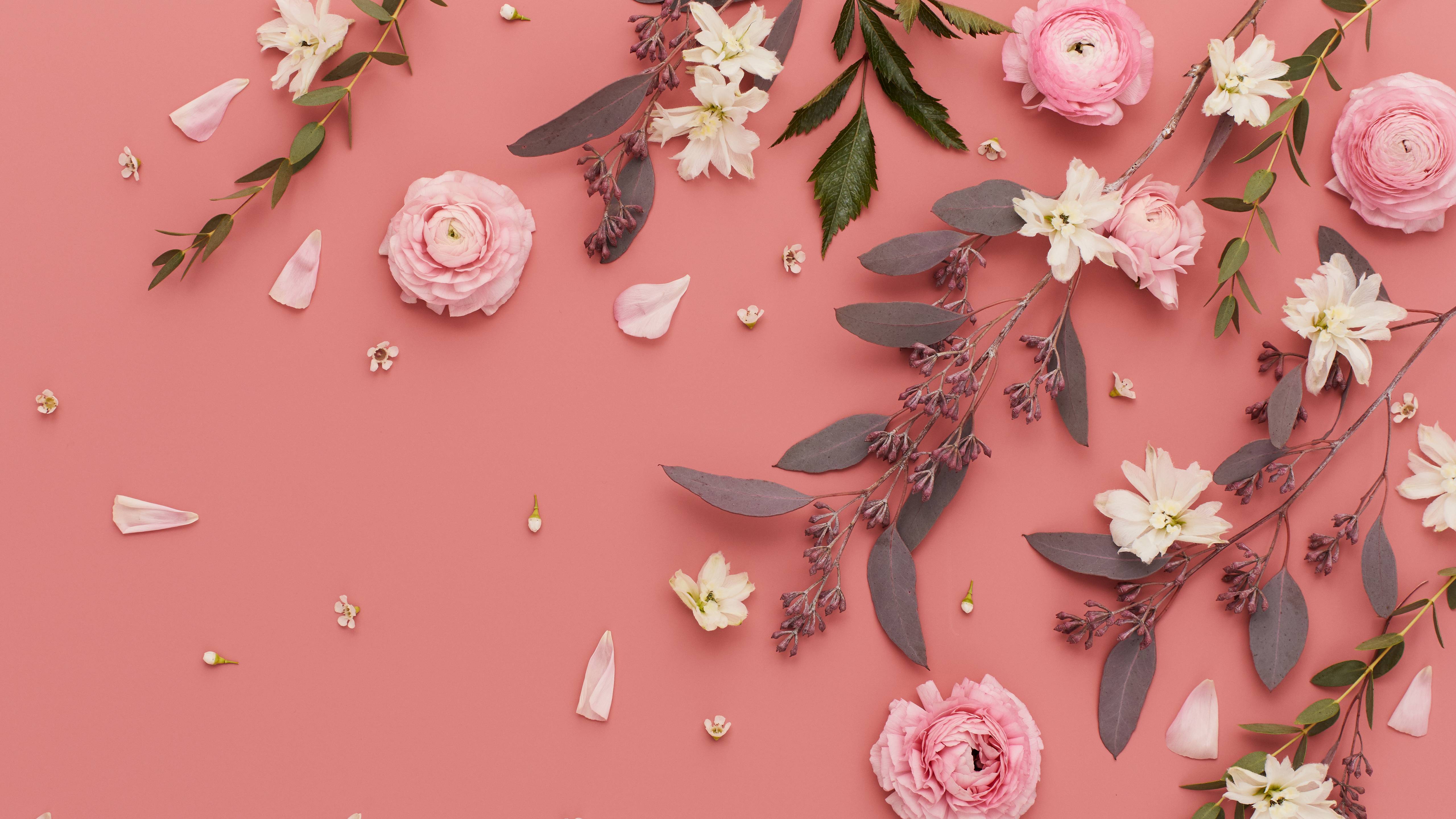 5120x2880 Pink Flower Wallpaper
