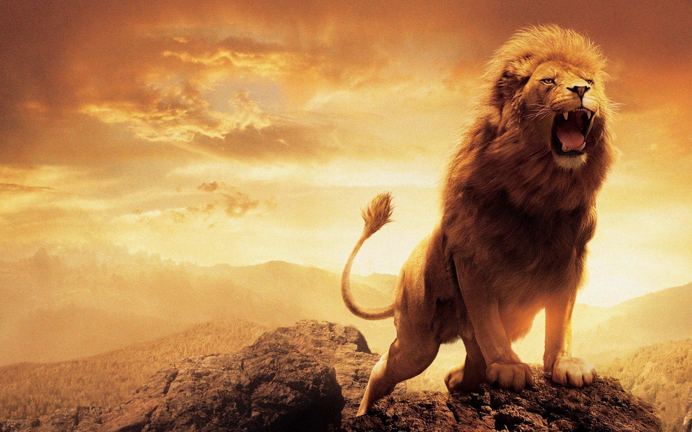 2880x1800 Narnia Lion 1366x768 Resolution HD 4k Wallpaper, Image