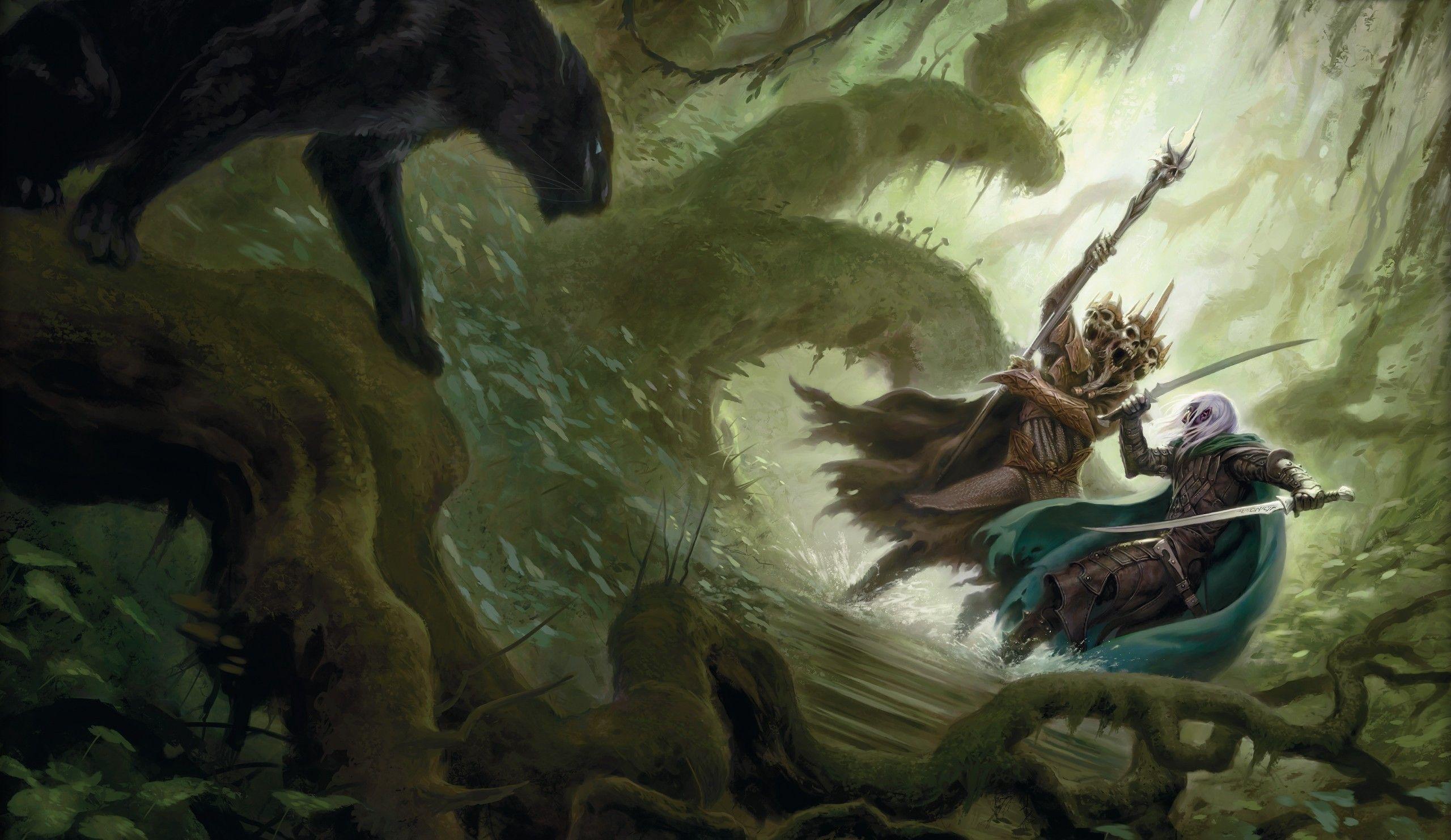 2560x1482 Drizzt DoUrden, Fantasy art, Dungeons & Dragons Wallpaper HD / Desktop and Mobile Background