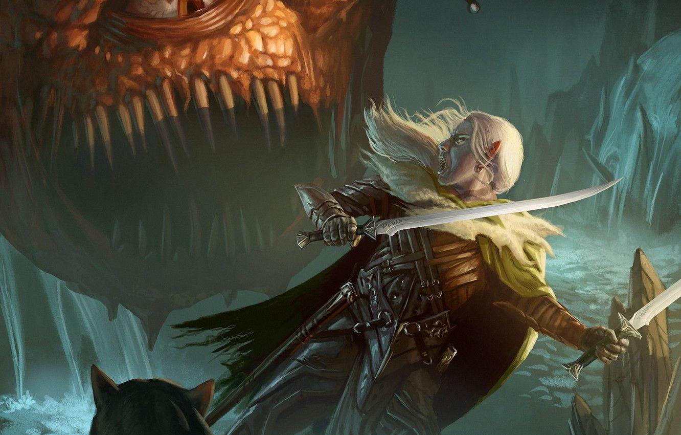1332x850 Wallpaper elf, monster, battle, swords, dark elf, illustration to the book, Robert Salvatore, Guenhwyvar, Drizzt Do'urden, Drizzt, Robert Salvatore, Drizzt Do'urden, Forgotten Realms, Beholder image for desktop, section фантастика