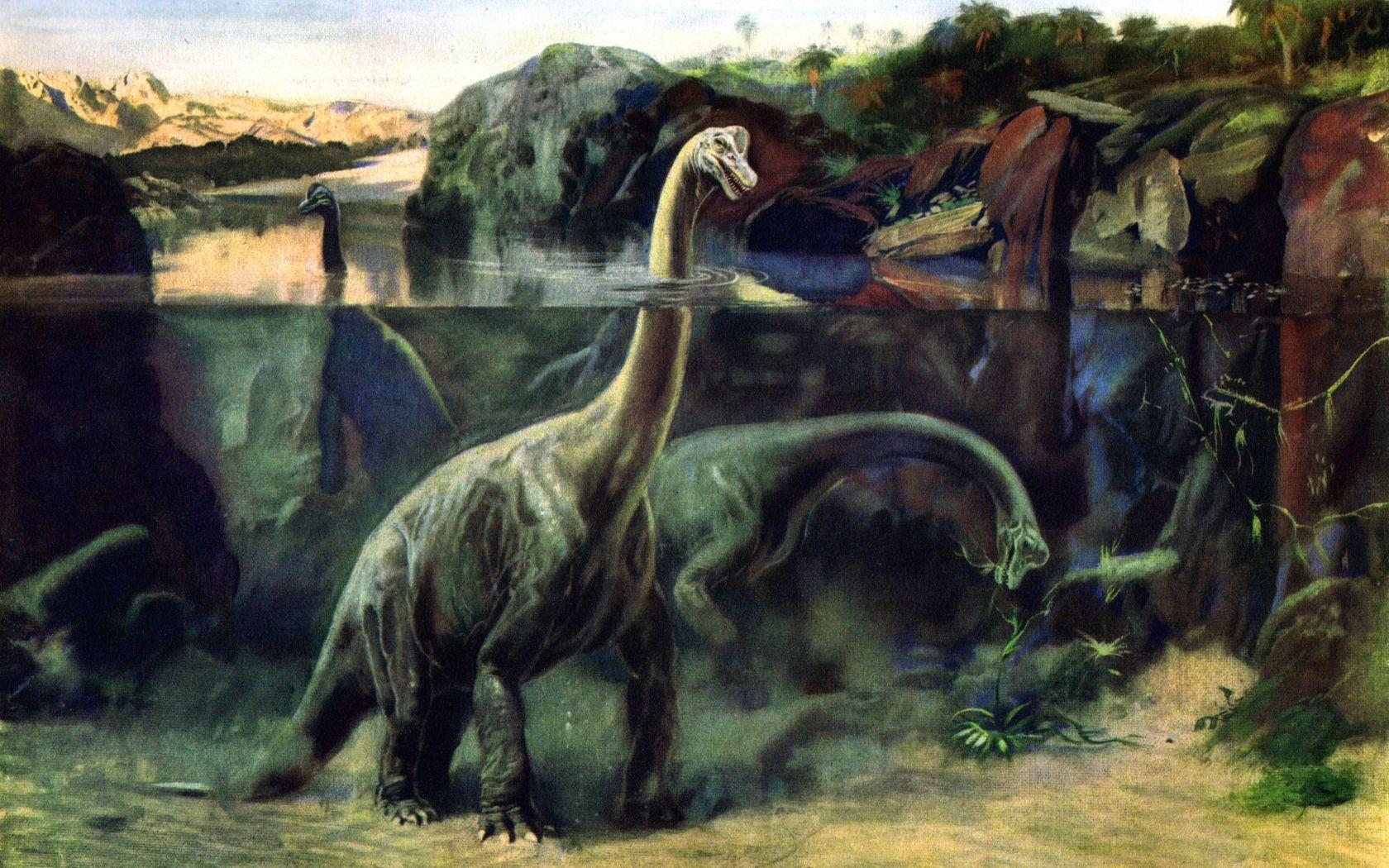 Brachiosaurus Wallpapers Top Free Brachiosaurus Backgrounds Brachiosaurus Wallpapers Top Free Brachiosaurus Backgrounds