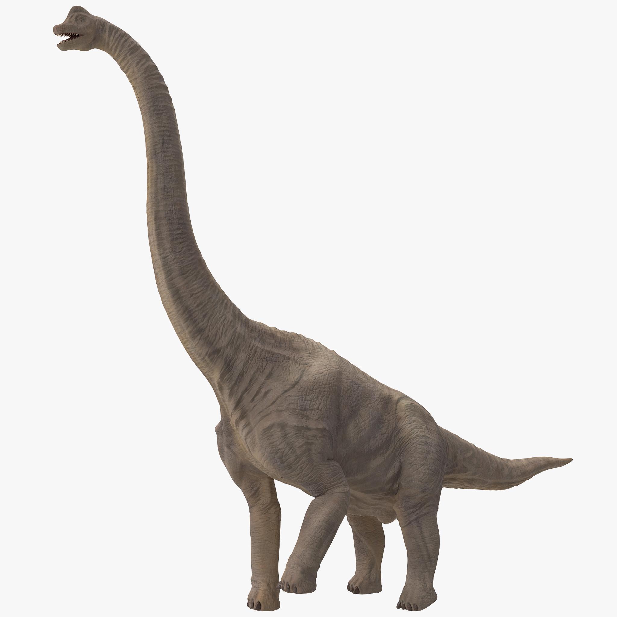 2048x2048 Brachiosaurus Wallpaper