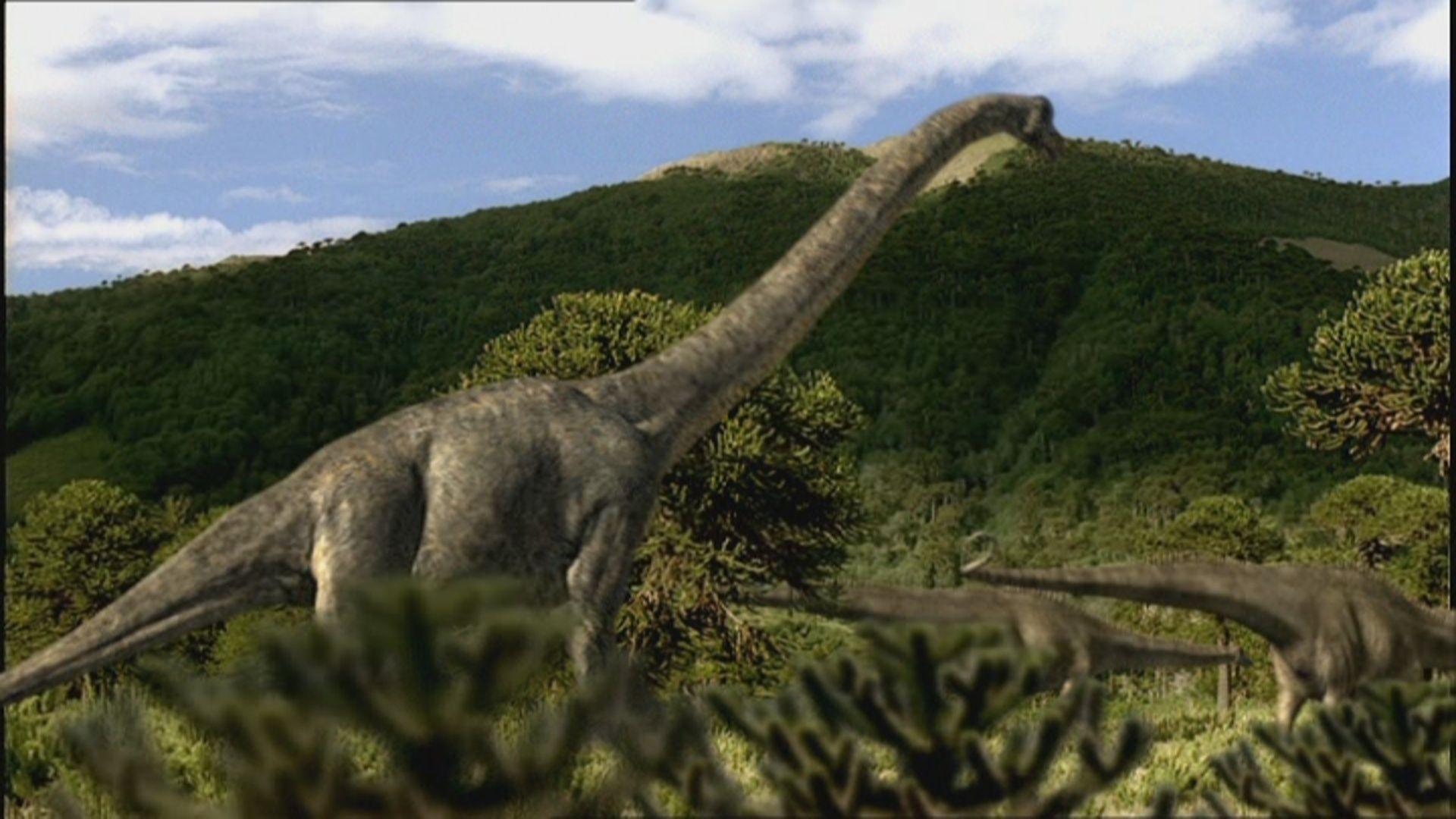 Brachiosaurus Wallpapers Top Free Brachiosaurus Backgrounds Brachiosaurus Wallpapers Top Free Brachiosaurus Backgrounds