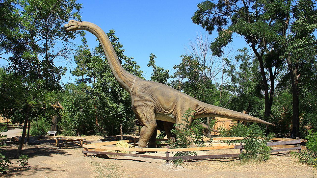 1280x719 Photo Volgograd Dinosaurs Brachiosaurus Animals Ancient animals