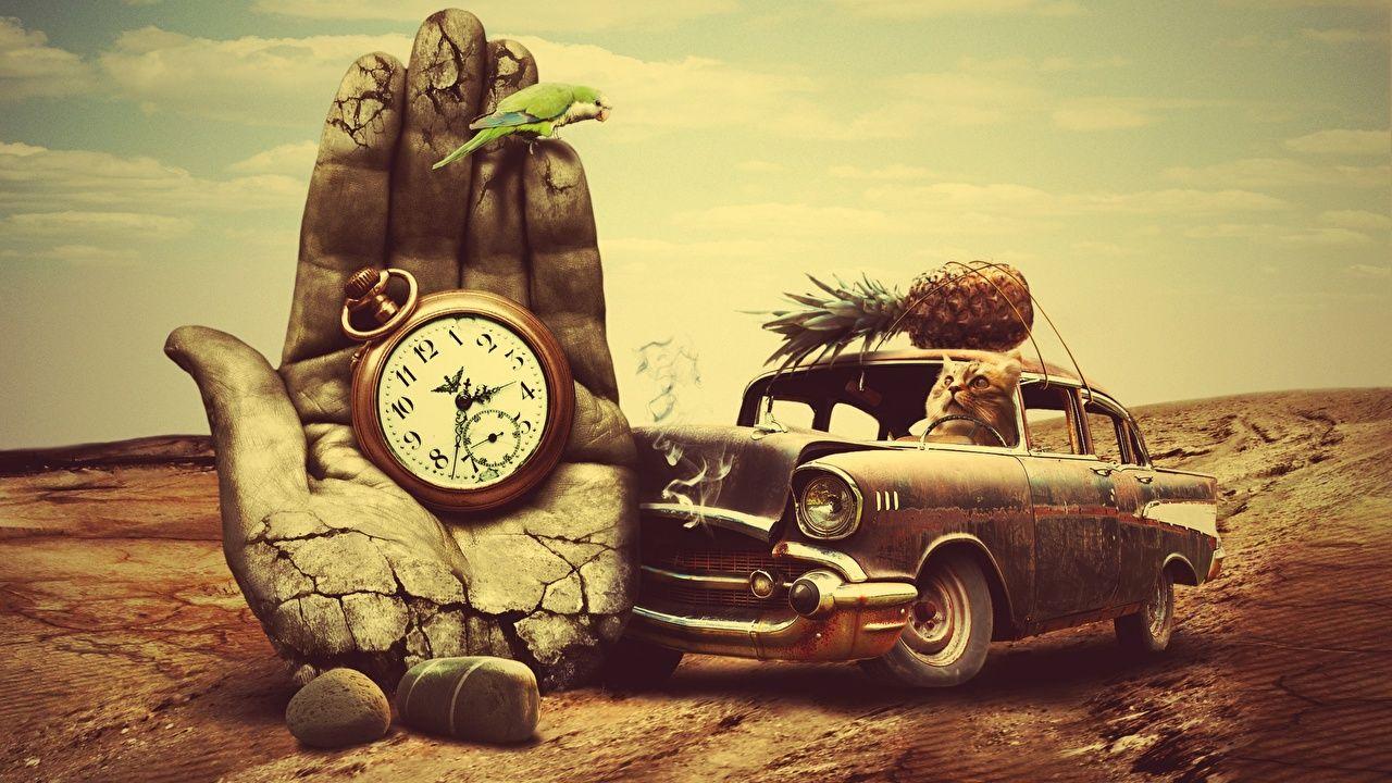 1280x720 Desktop Wallpaper cat Parrots Phantasmagoria Pocket watch Clock