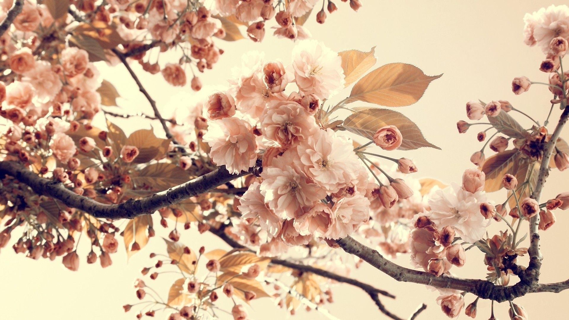 1920x1080 Vintage Floral Wallpaper HD