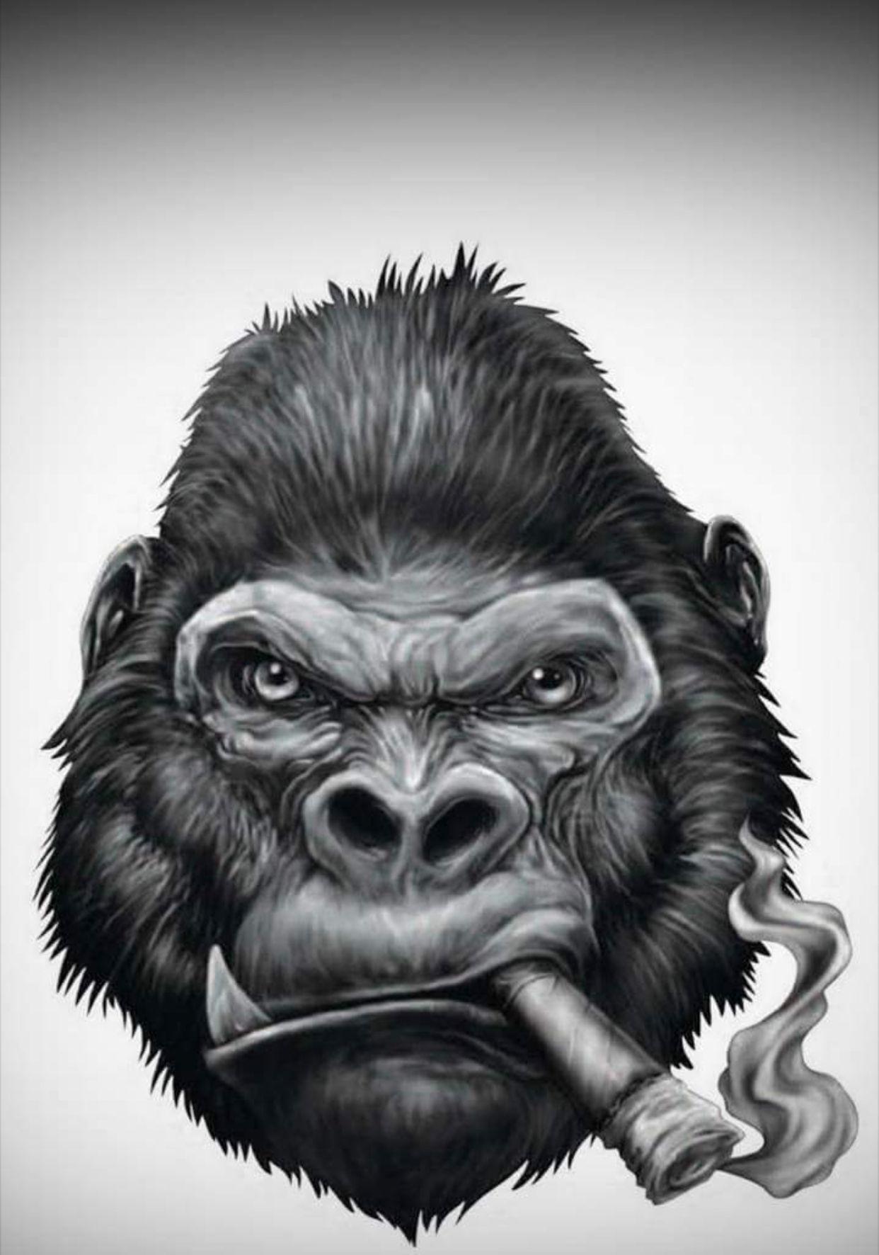 1242x1772 Cigar Gorilla. Monkey art, Gorillas art, Gorilla tattoo