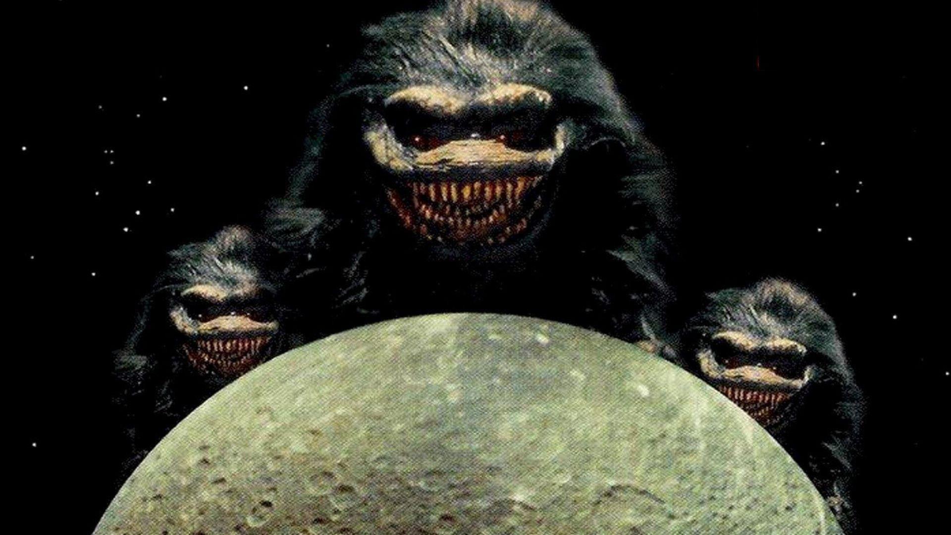 1920x1080 Great Ape Wallpaper