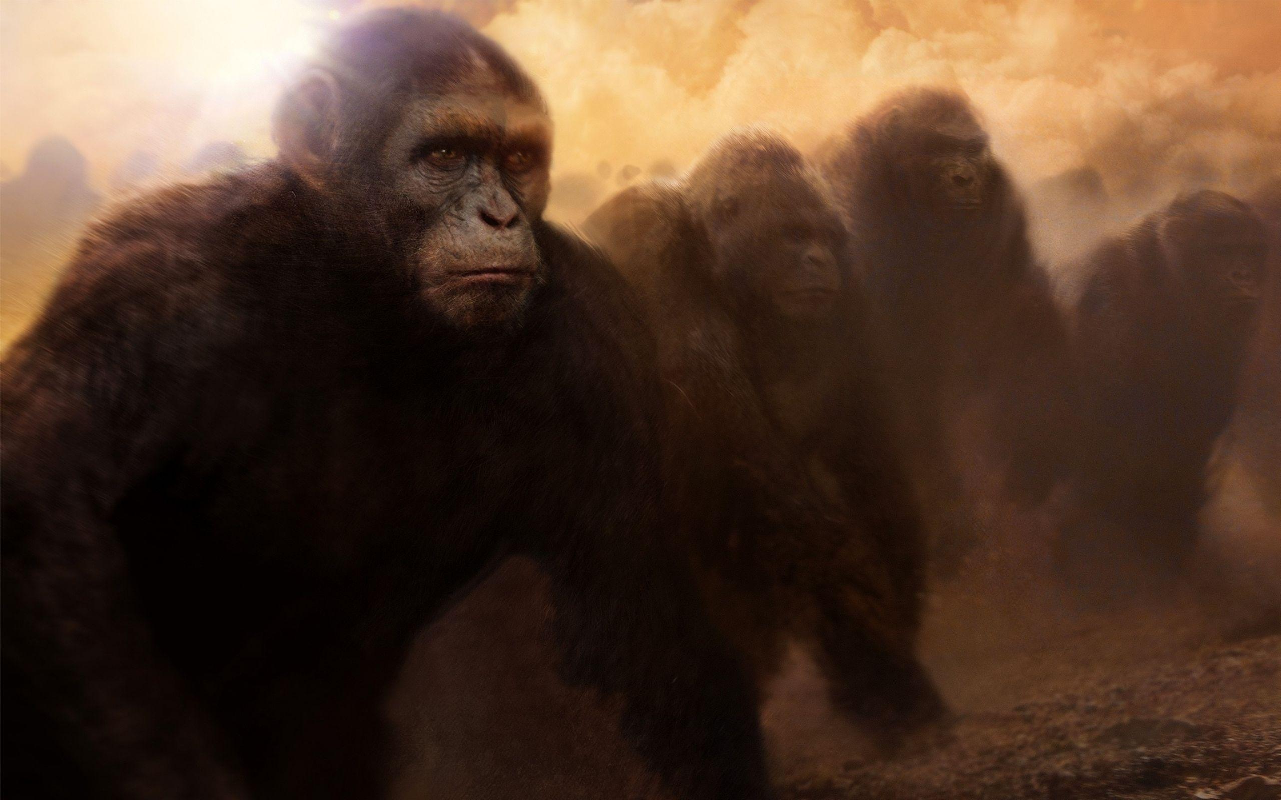 2560x1600 Movie Rise Of The Planet Of The Apes Wallpaper:2560x1600