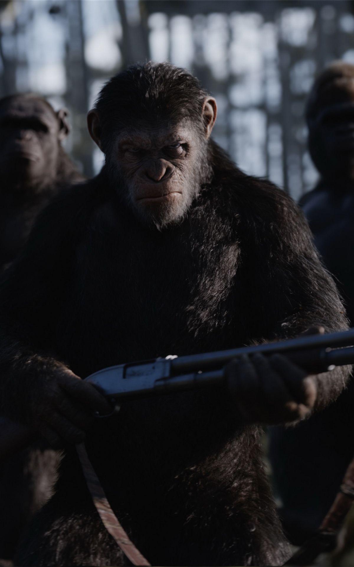 1200x1920 Mobile Wallpaper 165 Movie of the Week: War for the Planet of the Apes {10 pieces} [1080p to 4k]