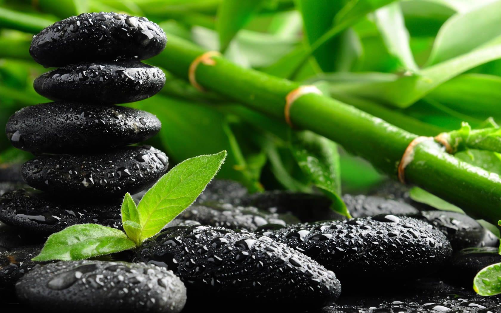 1680x1050 Massage Therapist Wallpaper. Massage Therapist Wallpaper, Respiratory Therapist Funny Wallpaper and Respiratory Therapist 4K Wallpaper