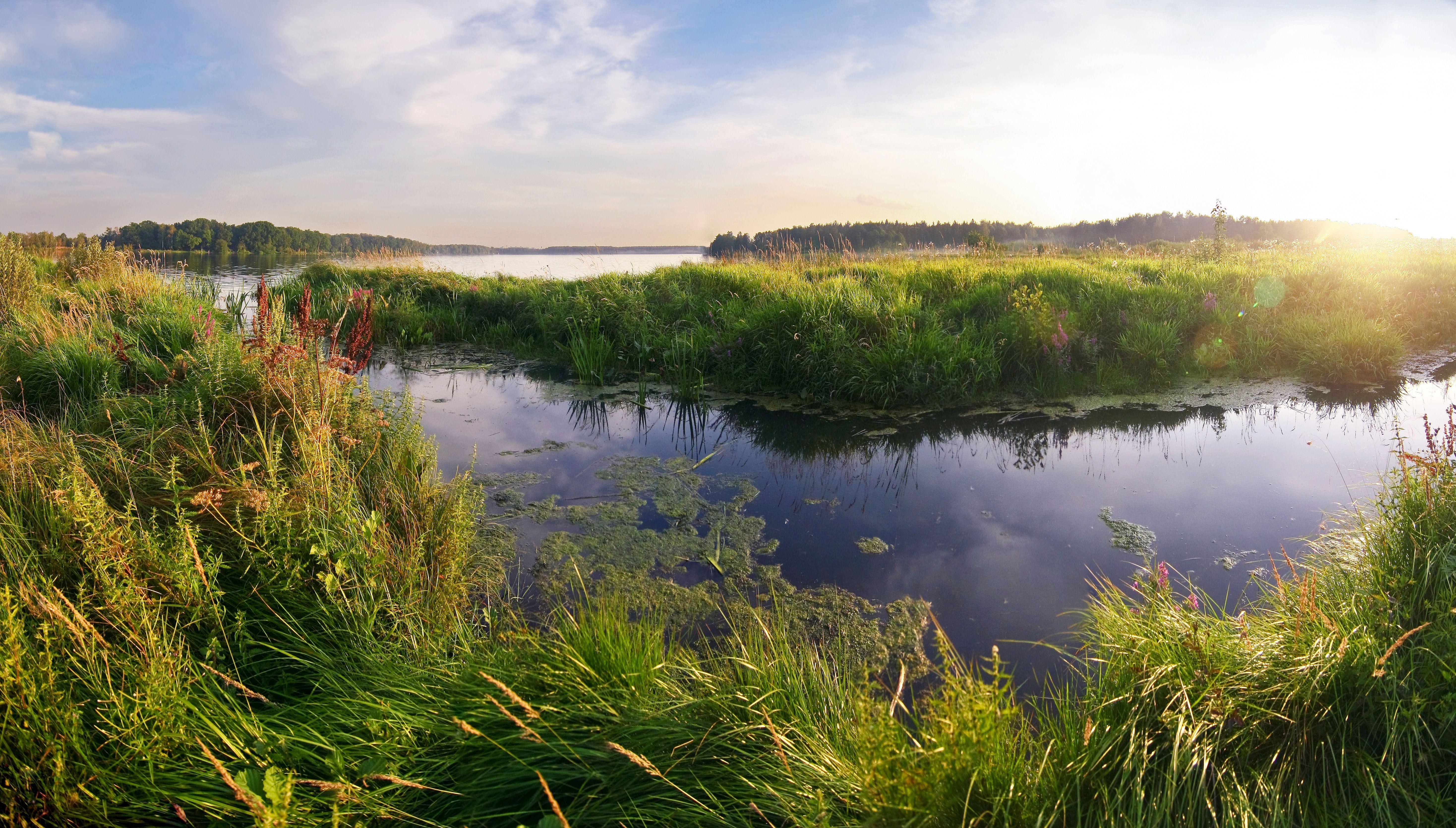5873x3339 Wetland Wallpaper. Wetland Wallpaper, Wetland Animals Wallpaper and Wetland Marsh Grasses Wallpaper