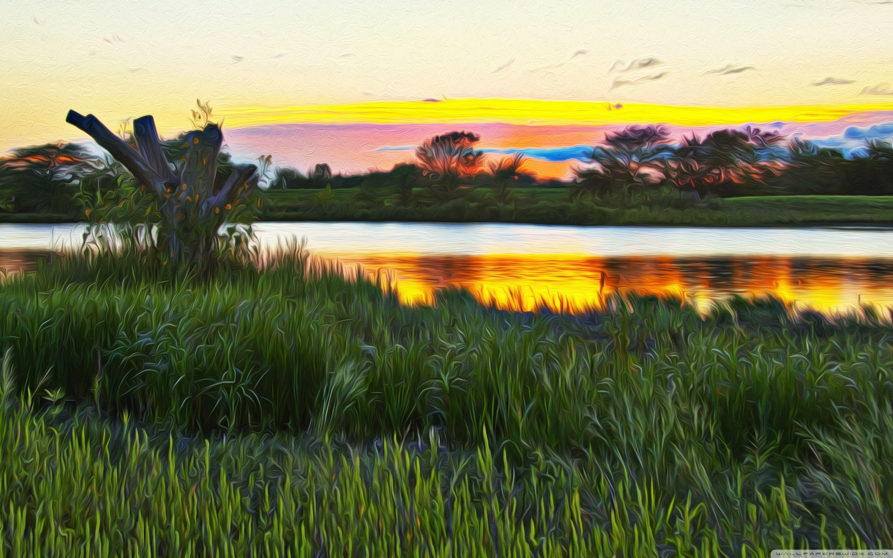 2880x1800 Wetlands Hallucination Ultra HD Desktop Background Wallpaper for 4K UHD TV : Widescreen & UltraWide Desktop & Laptop : Multi Display, Dual Monitor : Tablet