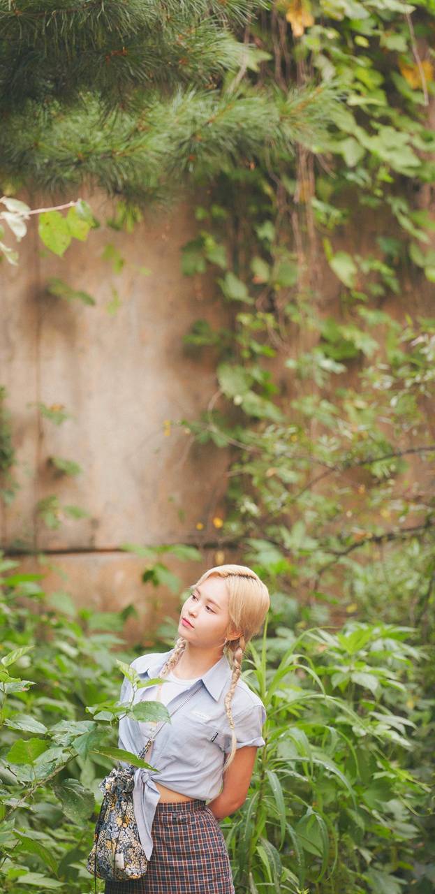 623x1280 Everglow Eu Wallpaper