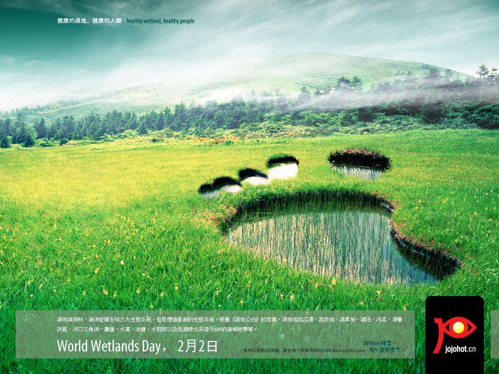 1024x768 Free download Wetlands wallpaper 1024x768 70847 [1024x768] for your Desktop, Mobile & Tablet. Explore Wetland Wallpaper. Wetland Background, Wetland Wallpaper