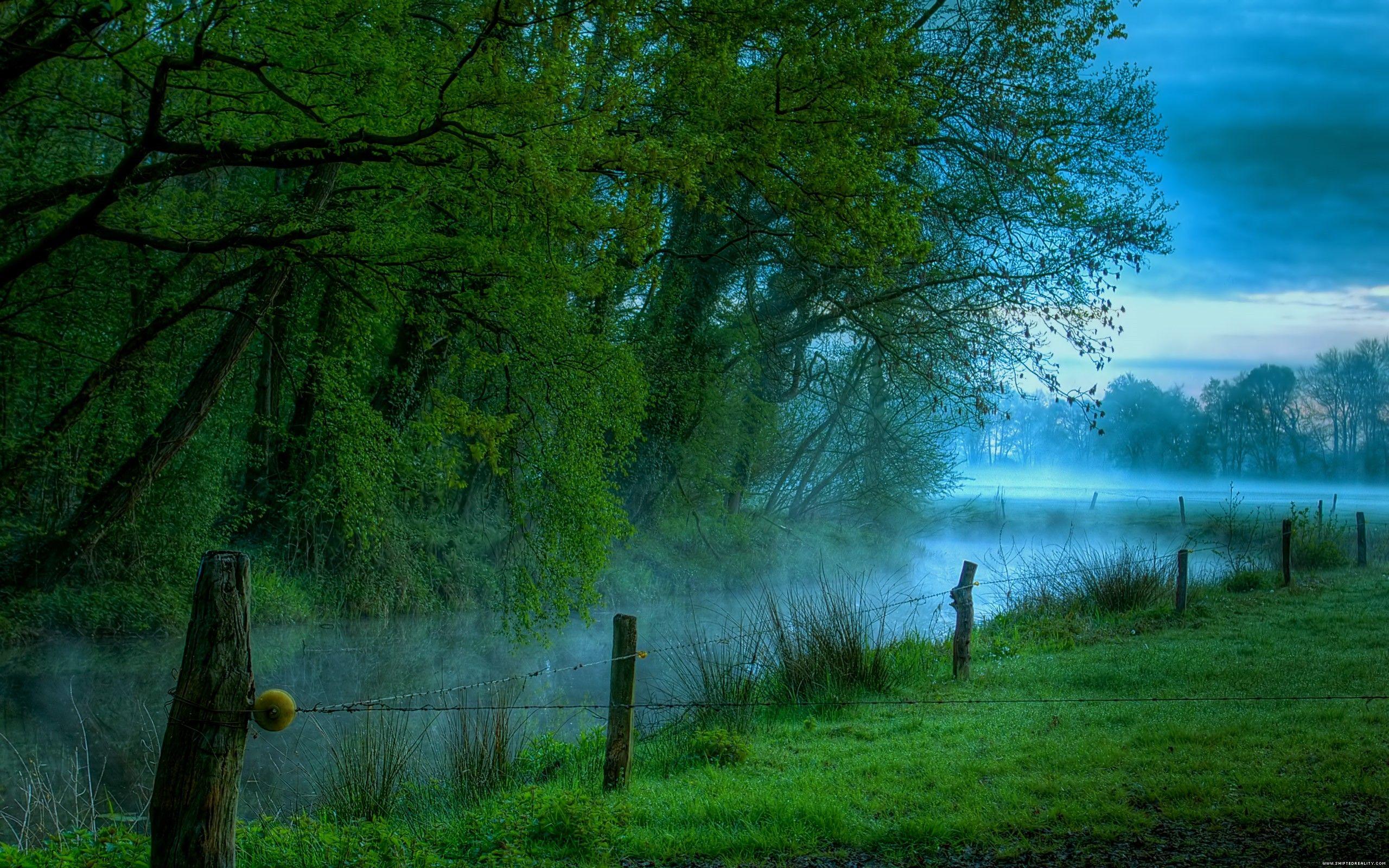 2560x1600 Wetland Background. Wetland Wallpaper, Wetland Animals Wallpaper and Wetland Marsh Grasses Wallpaper