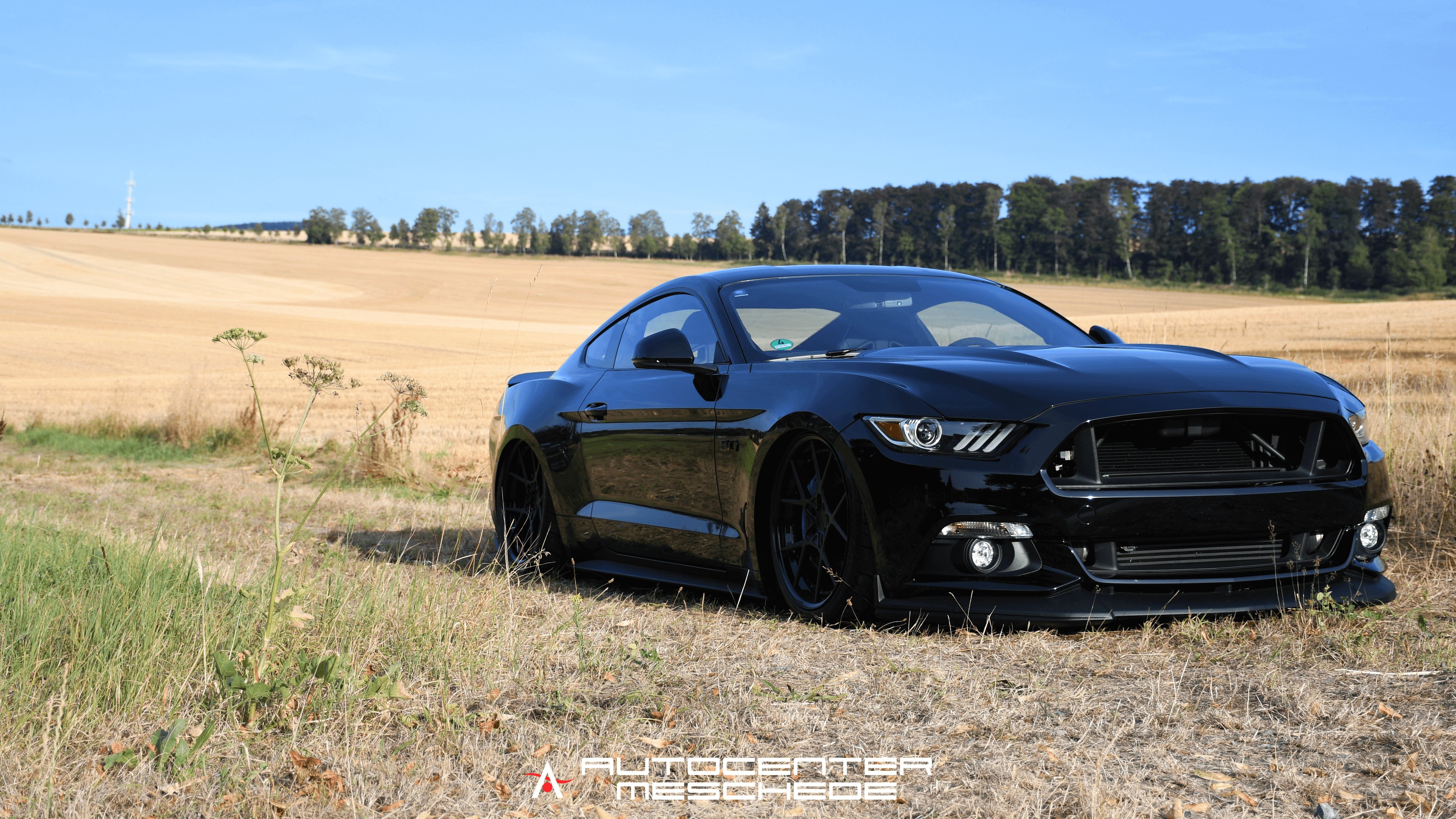 3840x2160 Wallpaper Mustang