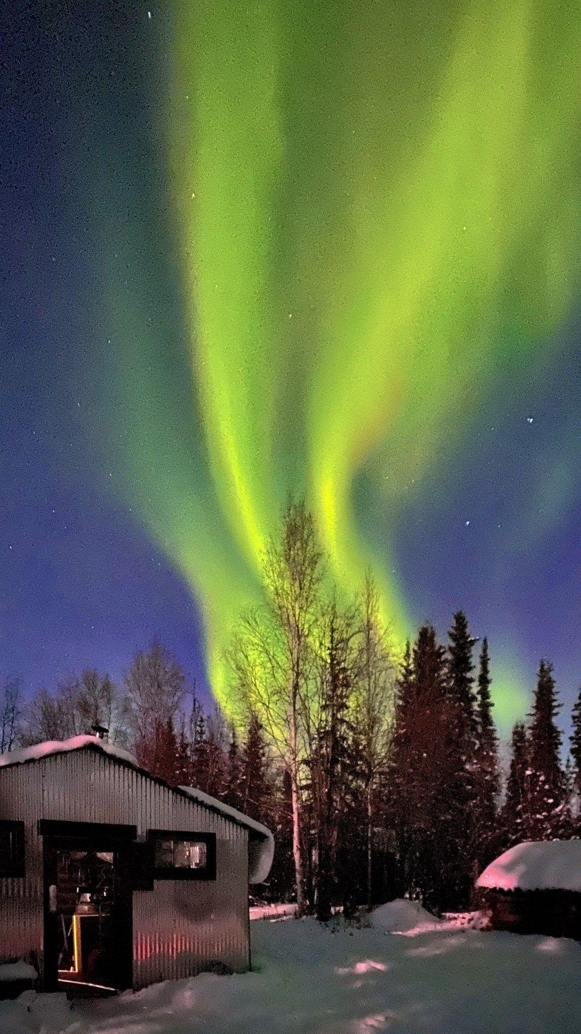 1152x2048 Using an iPhone 11 Pro to Capture the Northern Lights