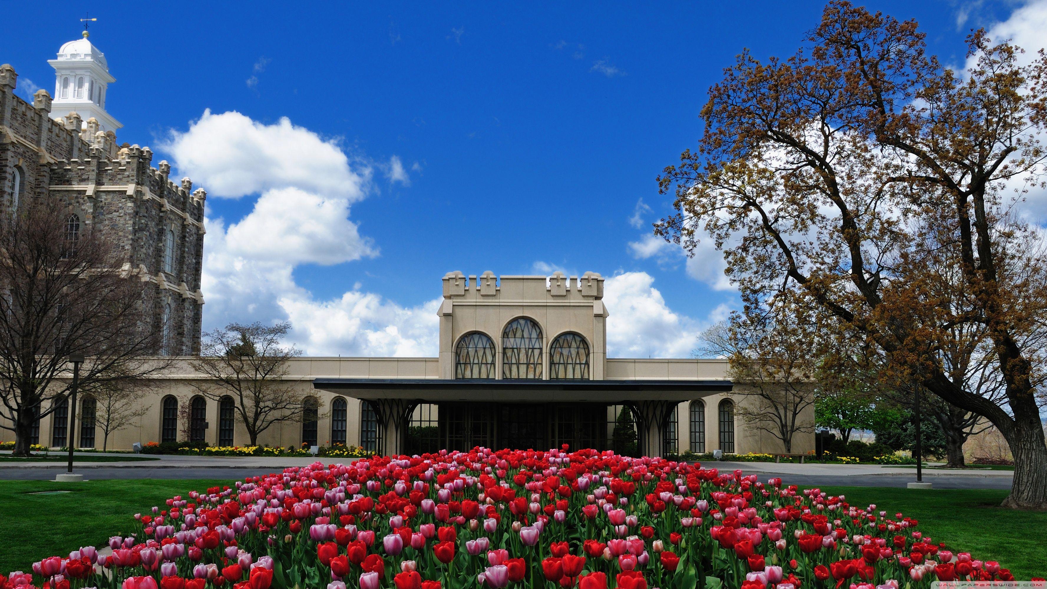 3554x1999 Logan LDS Temple Ultra HD Desktop Background Wallpaper for 4K UHD TV : Tablet