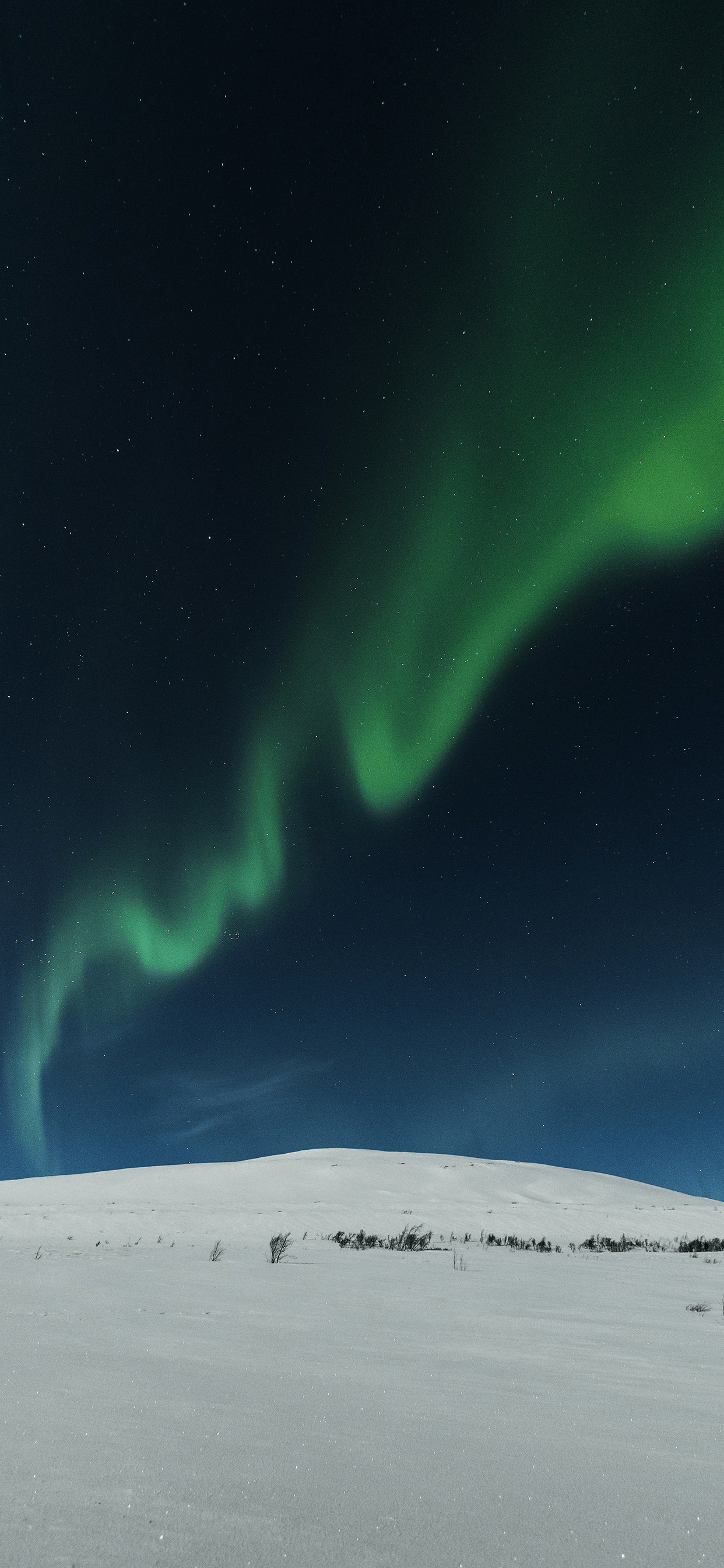 1242x2688 Northern Lights Wallpaper for iPhone Pro Max, X, 6
