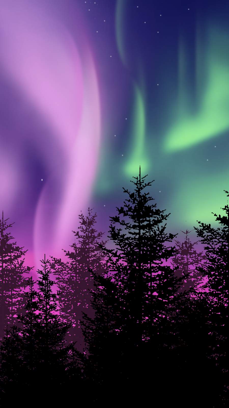 900x1600 Winter Northern Lights iPhone Wallpaper Wallpaper : iPhone Wallpaper