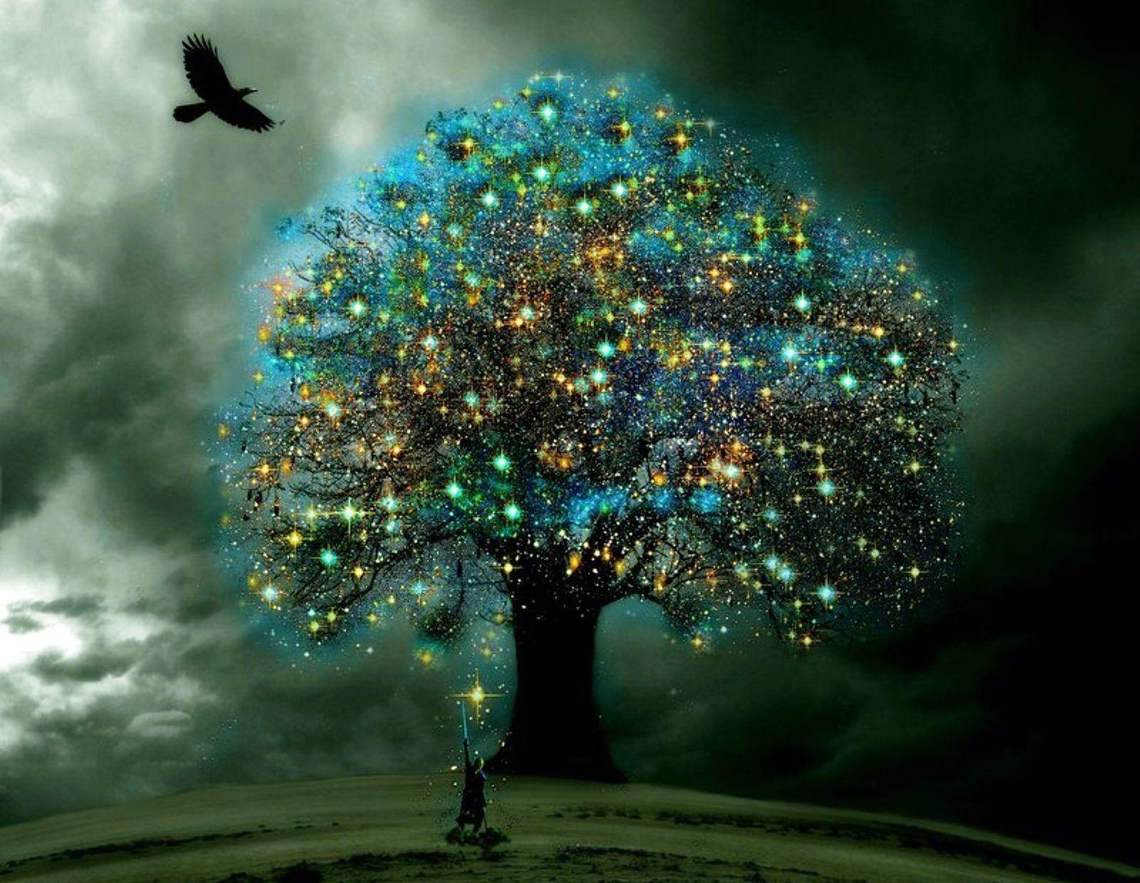 Magical HD Desktop Wallpapers - Top Free Magical HD Desktop Backgrounds