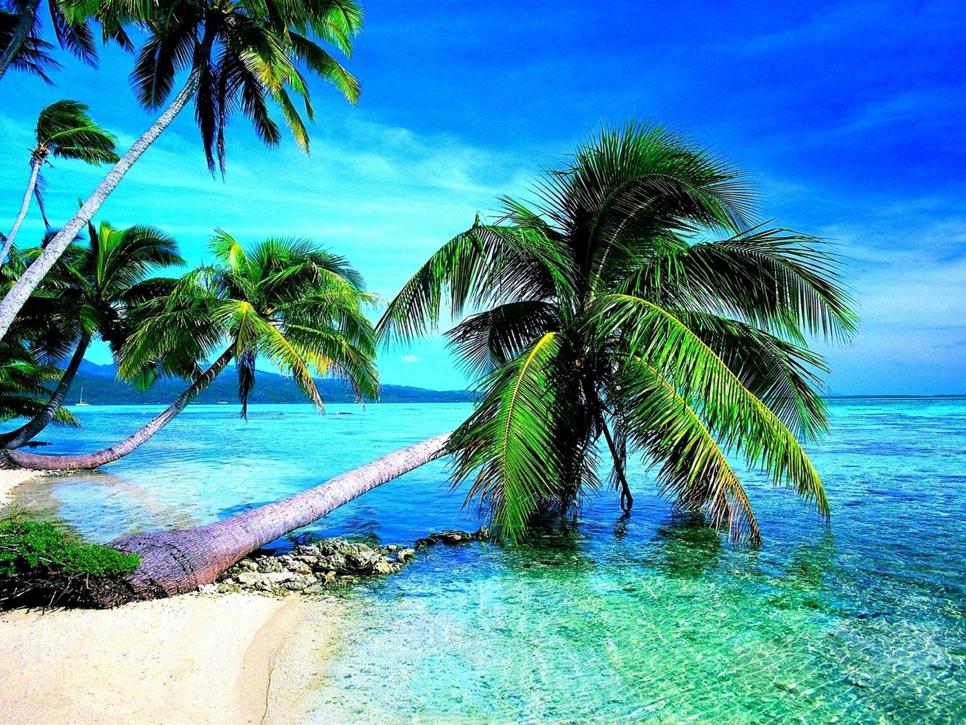 Tropical Beach Wallpapers - Top Free Tropical Beach Backgrounds -  WallpaperAccess