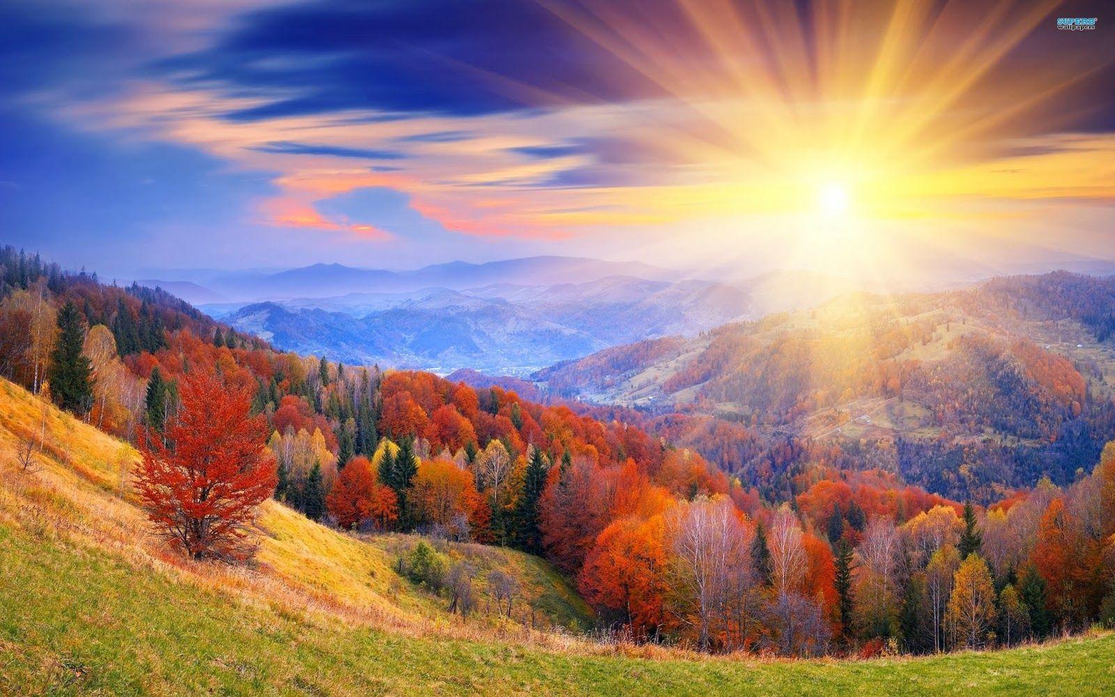 1600x1000 Sunrise Wallpaper