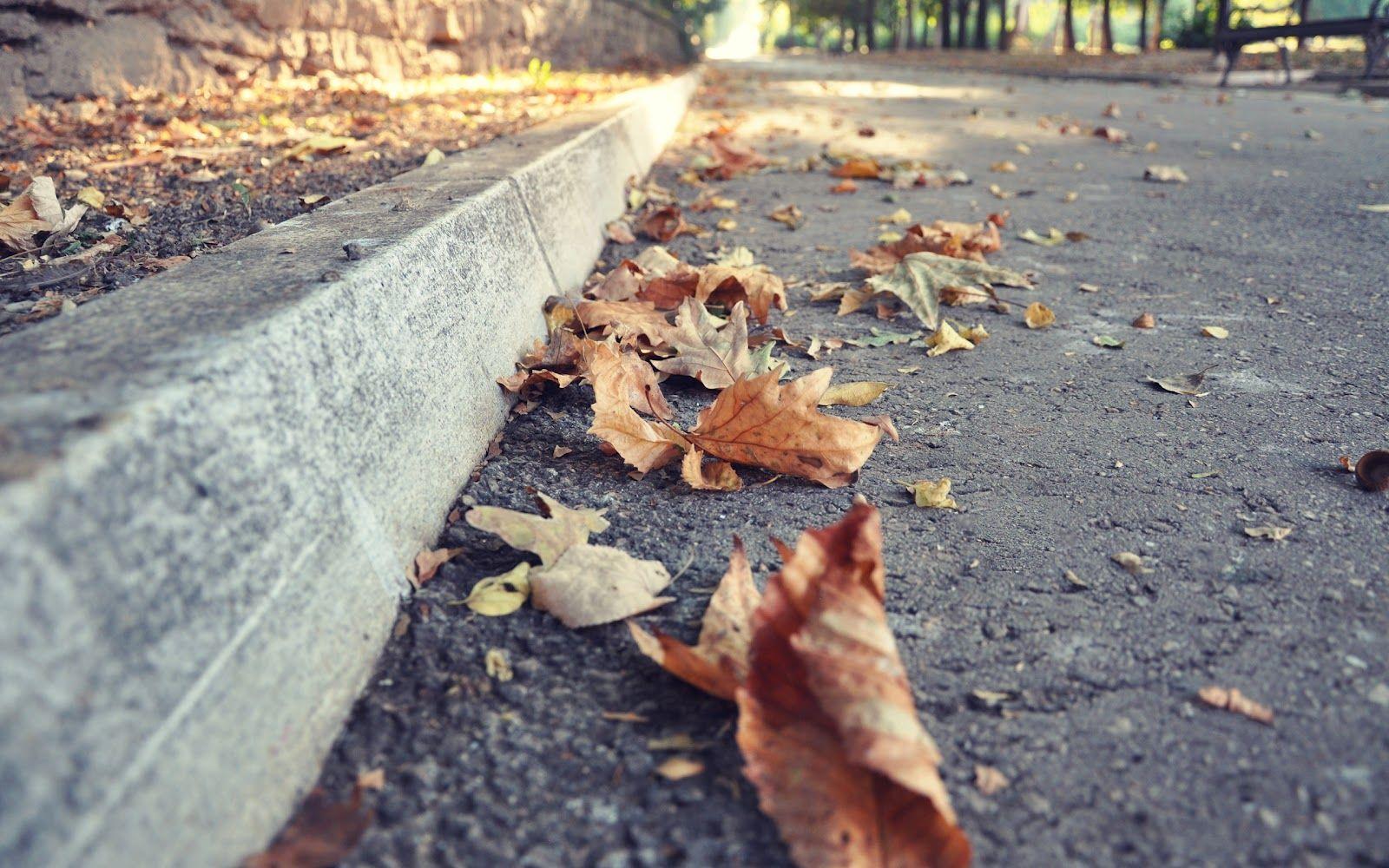 Sidewalk Wallpapers - Top Free Sidewalk Backgrounds - WallpaperAccess