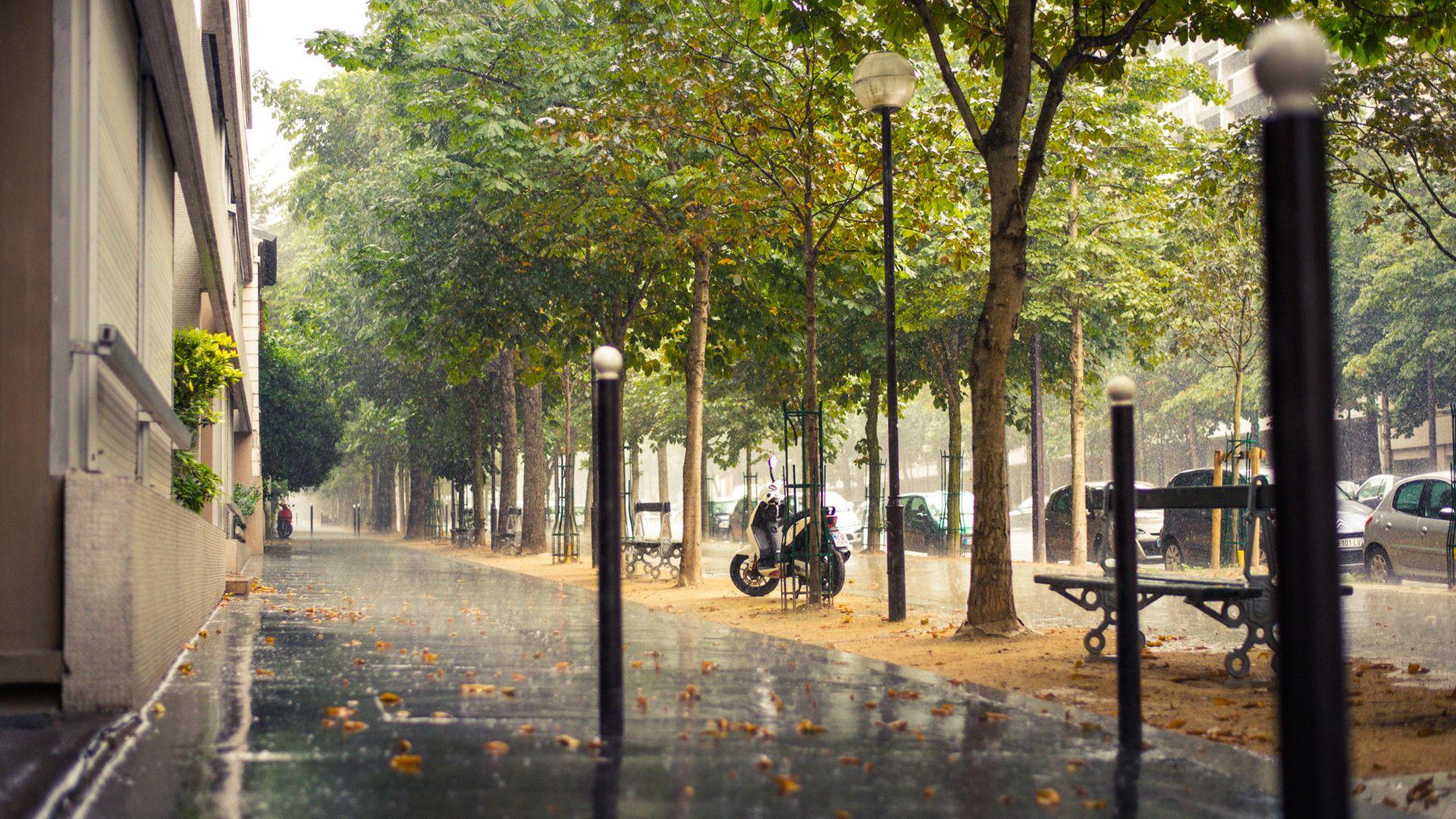 1920x1080 paris, city, france, france, the sidewalk, street, paris, the rain desktop wallpaper 15609