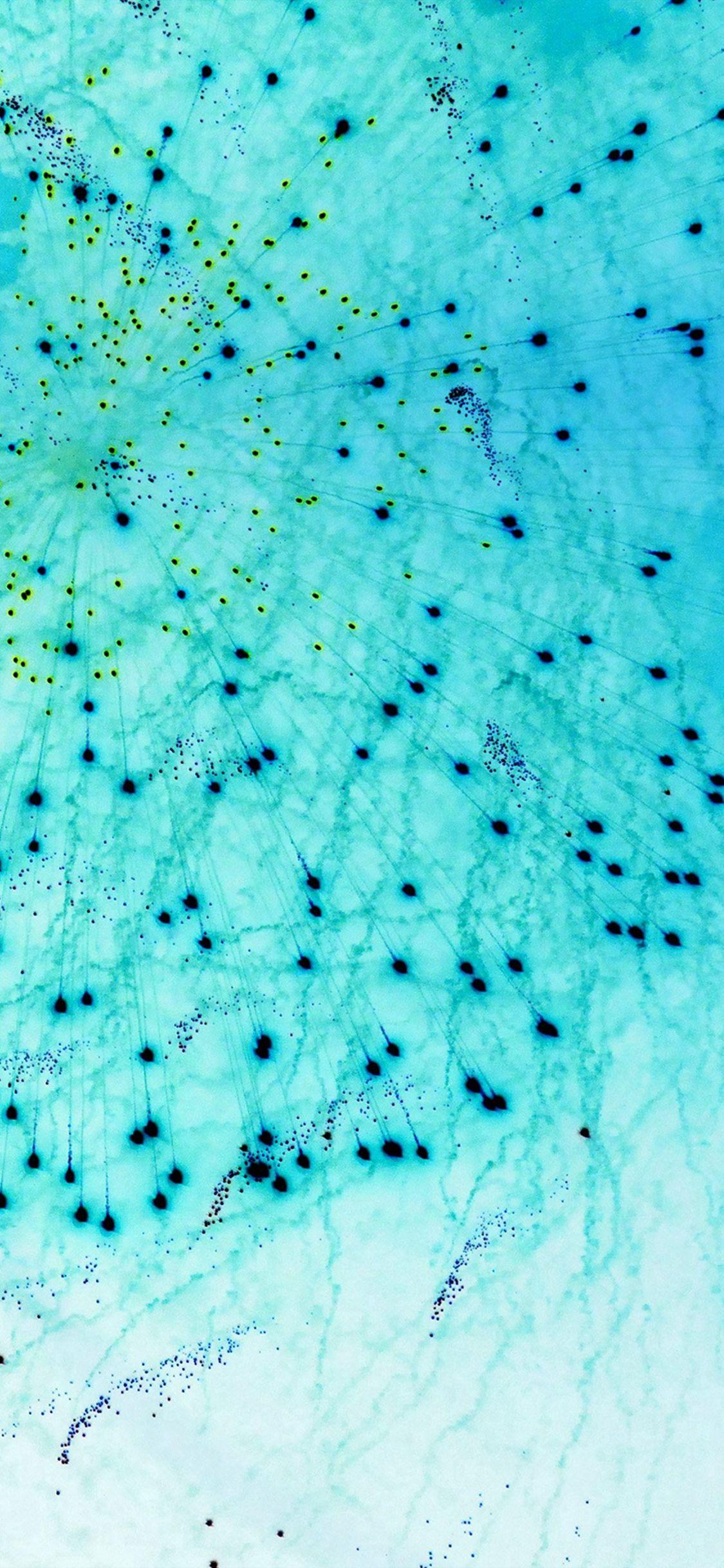 Teal Blue Wallpapers Top Free Teal Blue Backgrounds WallpaperAccess