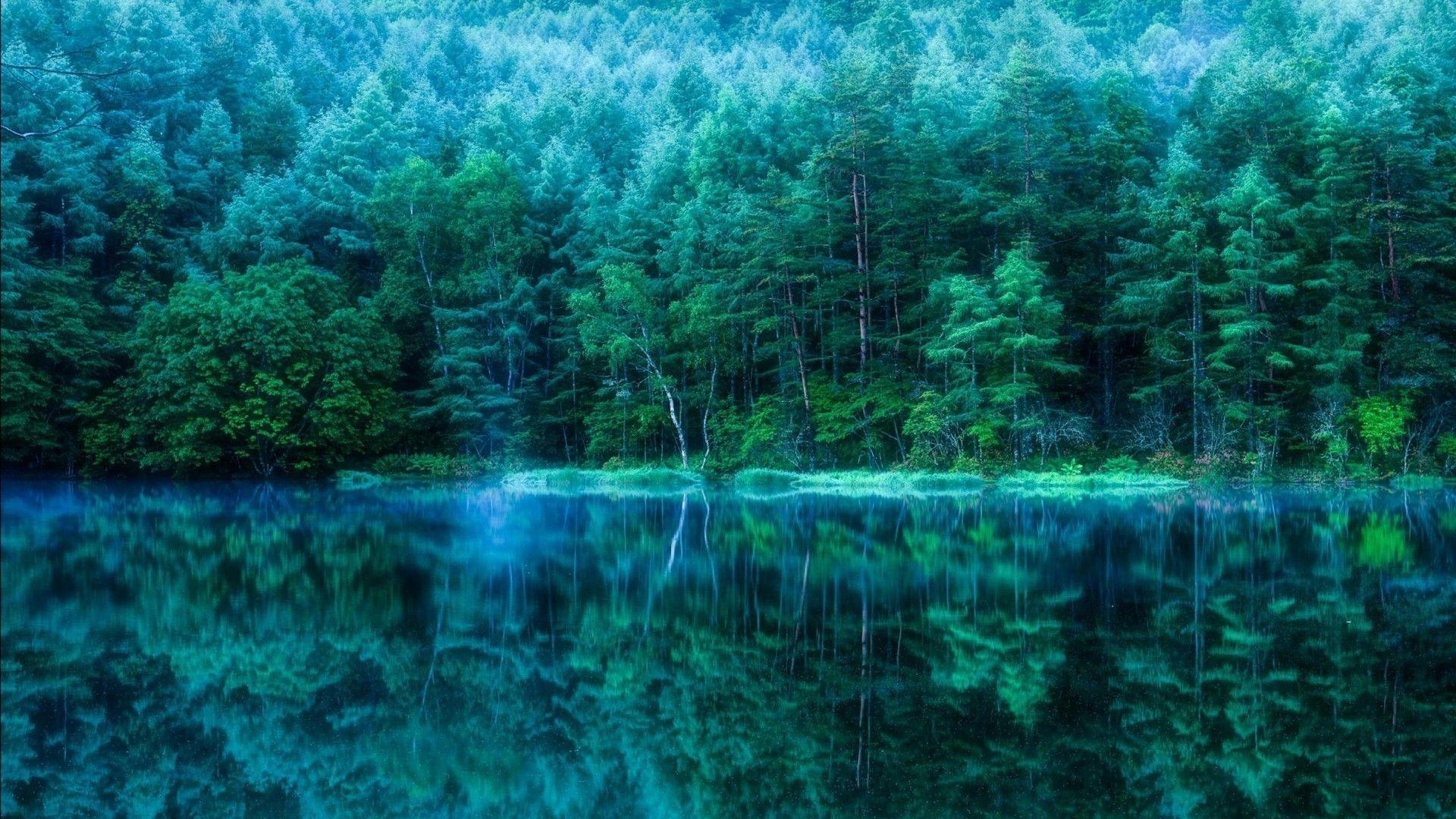 1920x1080 Teal Color Wallpaper HD Live Wallpaper HD