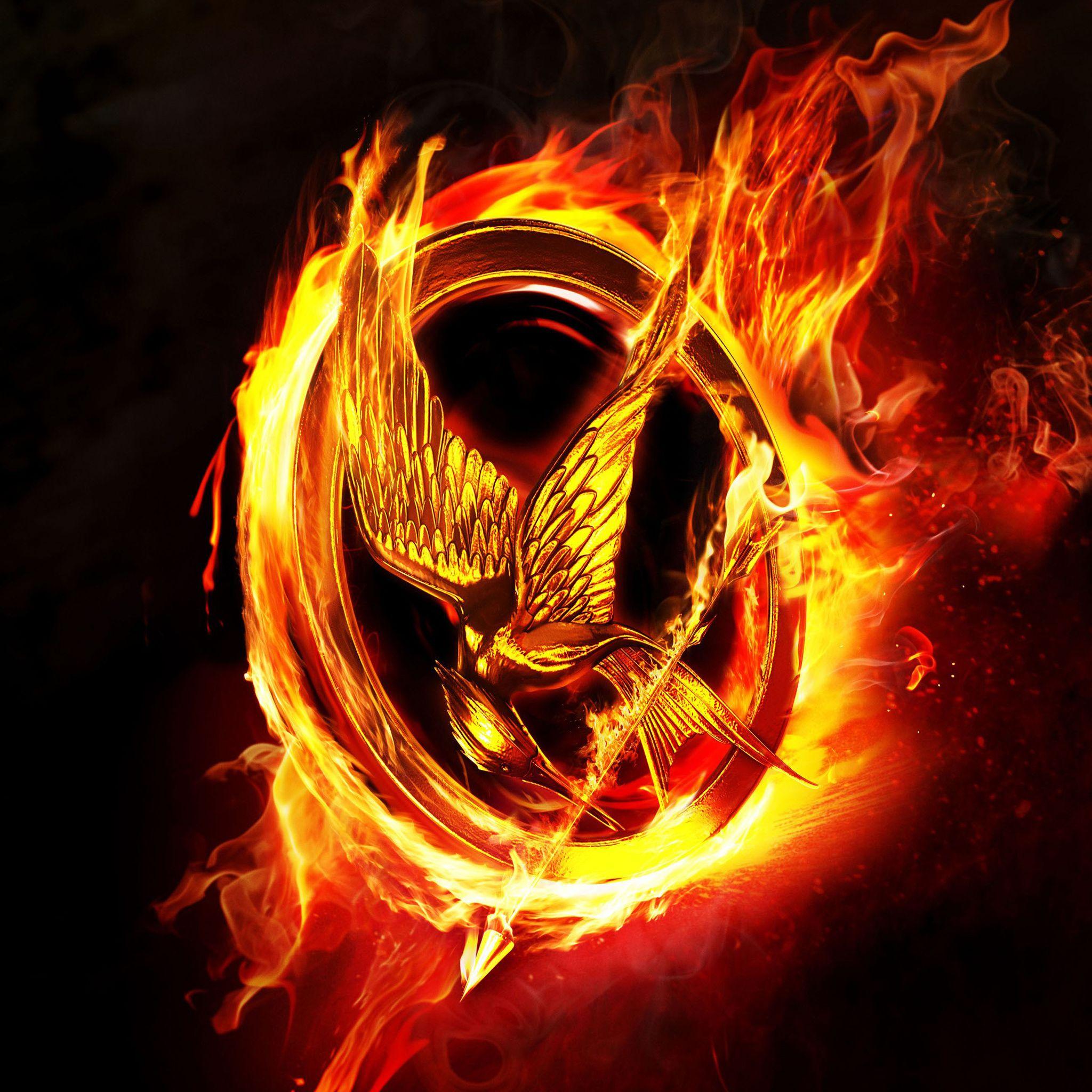 2048x2048 Hunger Games Wallpaper for iPad