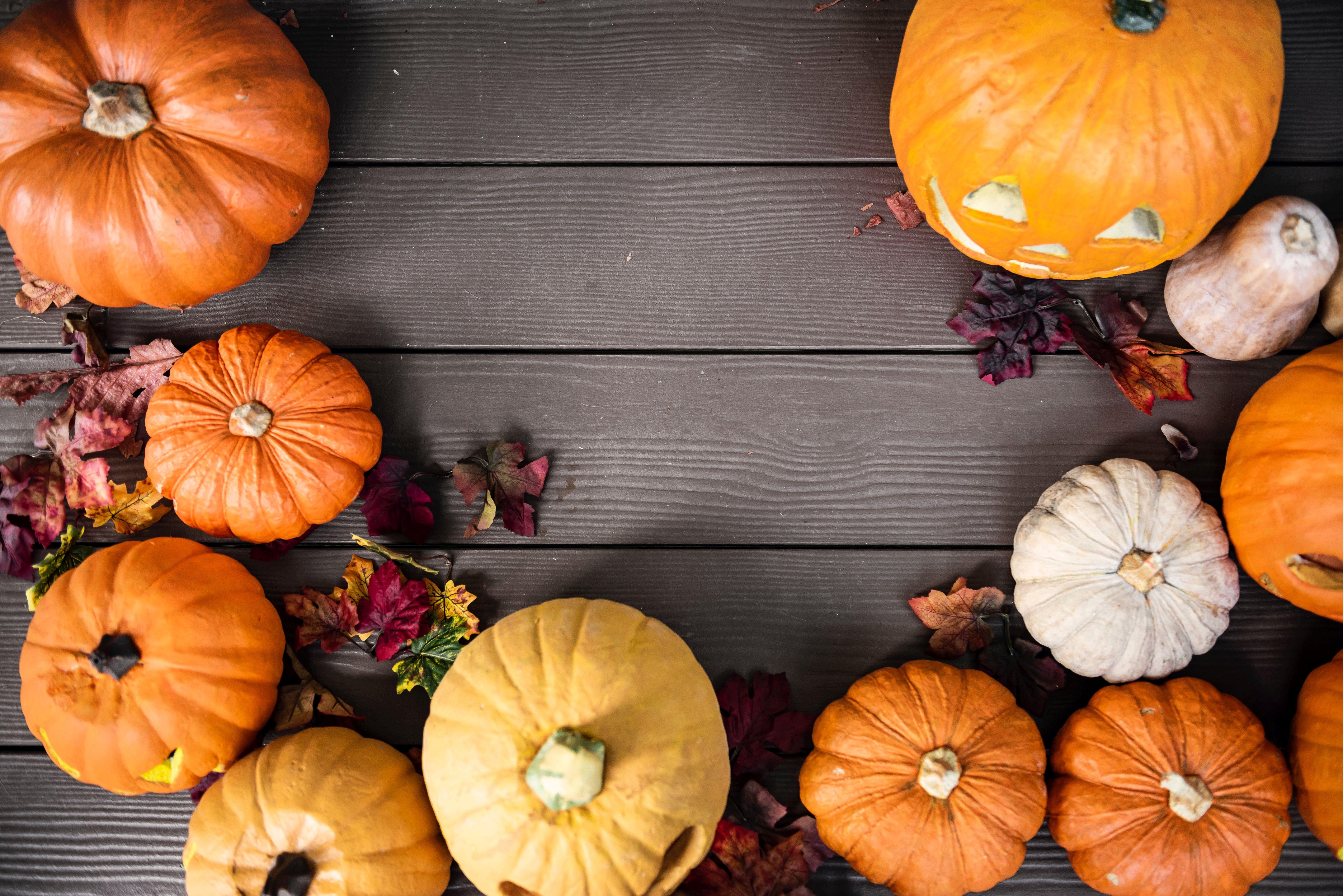 7000x4672 Cute pumpkin desktop wallpaper : High Definition, High Resolution HD Wallpaper