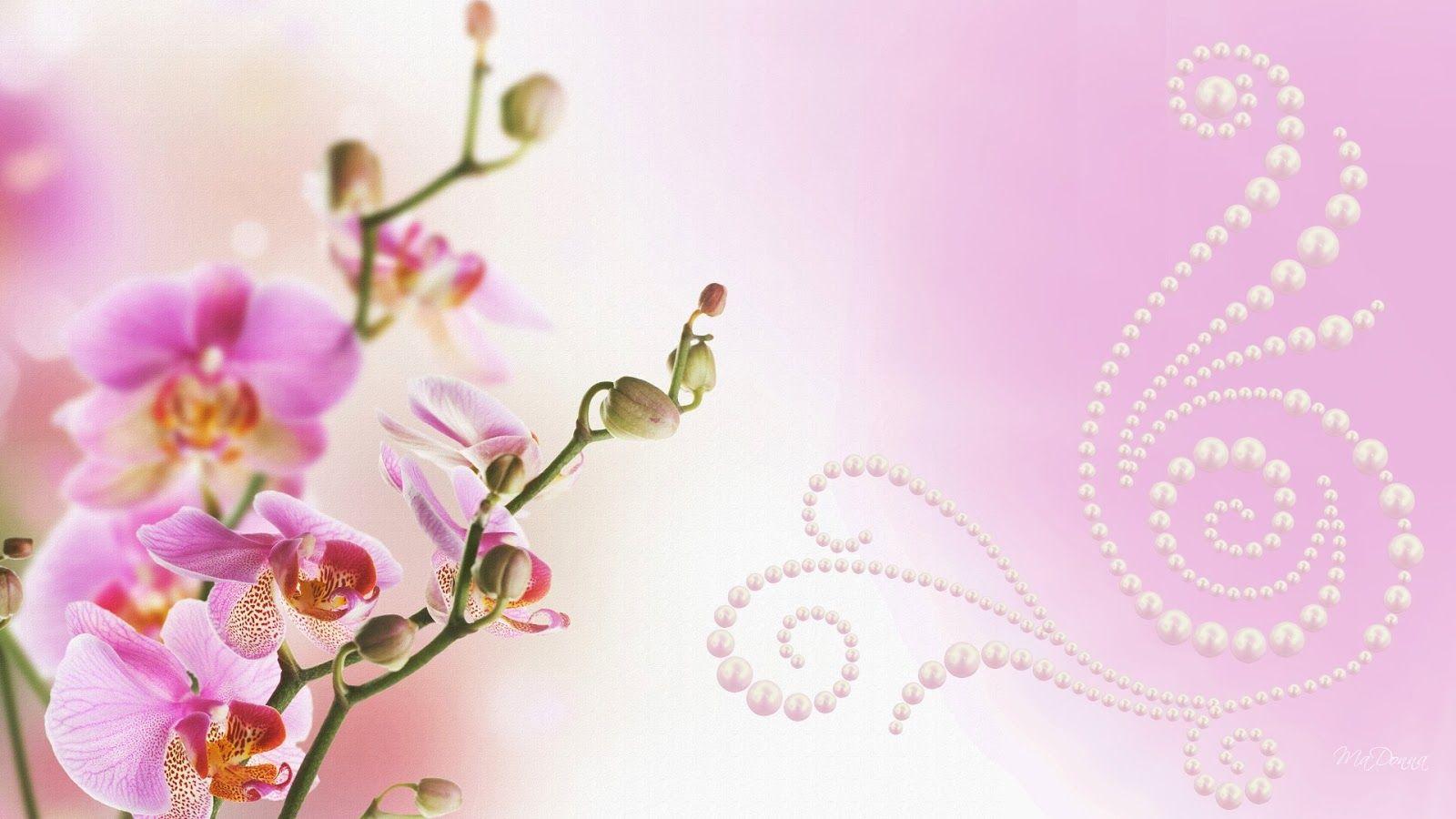 1600x900 Orchid Wallpaper for Computer