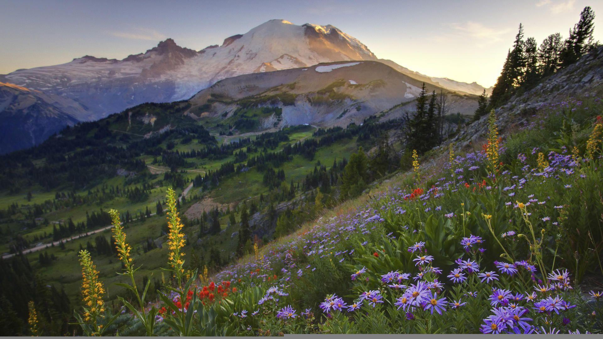 1920x1080 Mount Rainier National Park HD Wallpaper