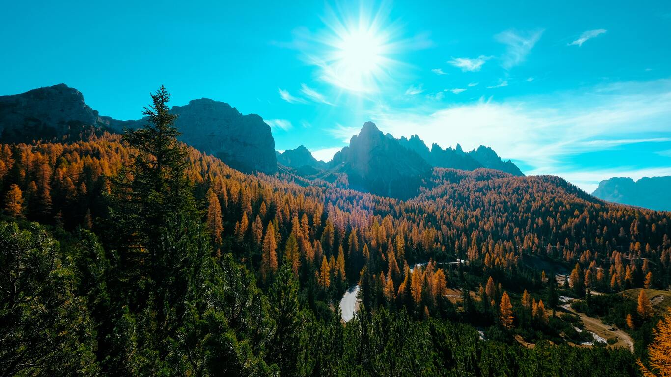1366x768 Landscape Trees Nature Forest 5k 1366x768 Resolution HD 4k Wallpaper, Image, Background, Photo and Picture