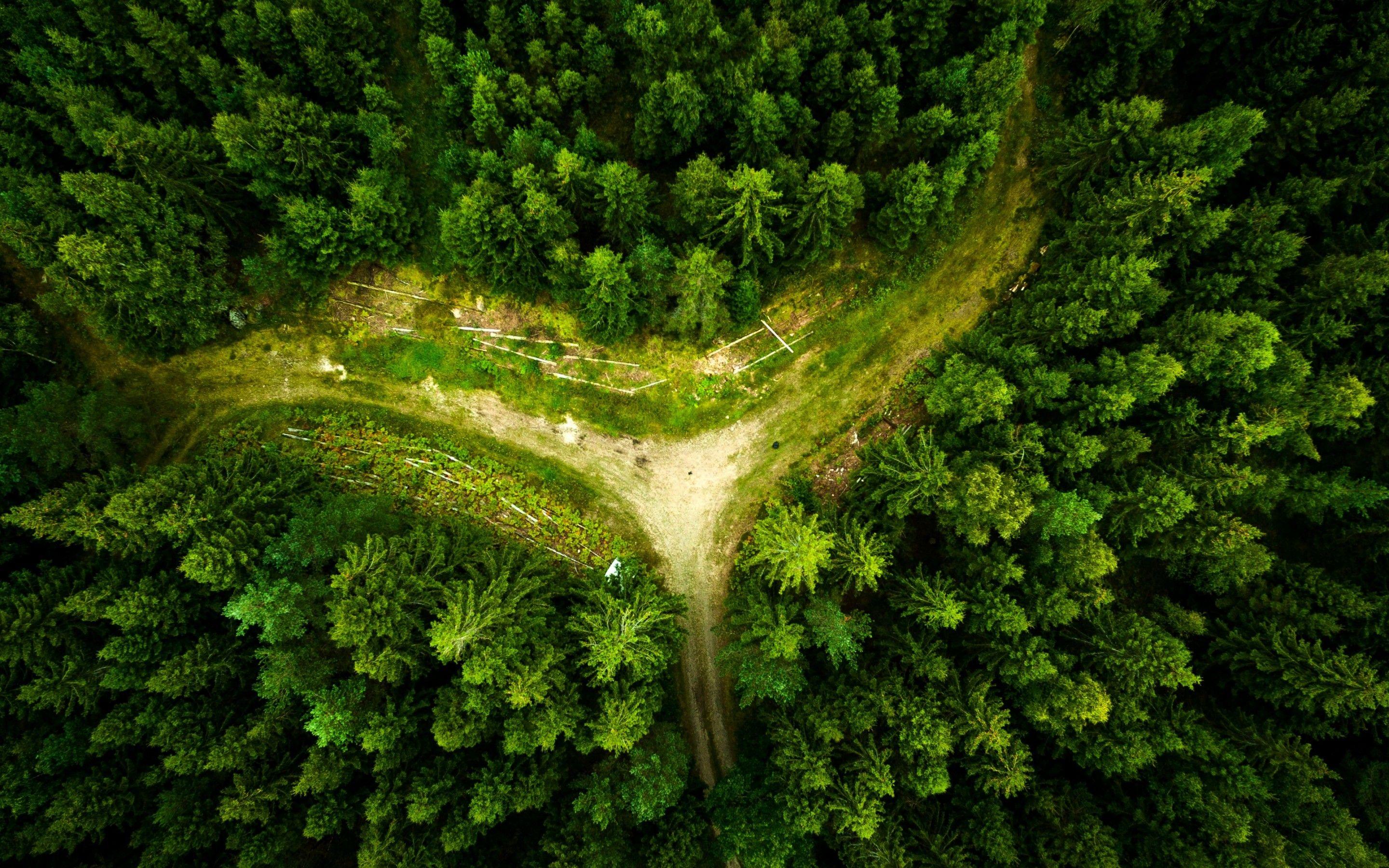 2880x1800 Wallpaper Forest, Aerial view, HD, Nature,. Wallpaper for iPhone, Android, Mobile and Desktop