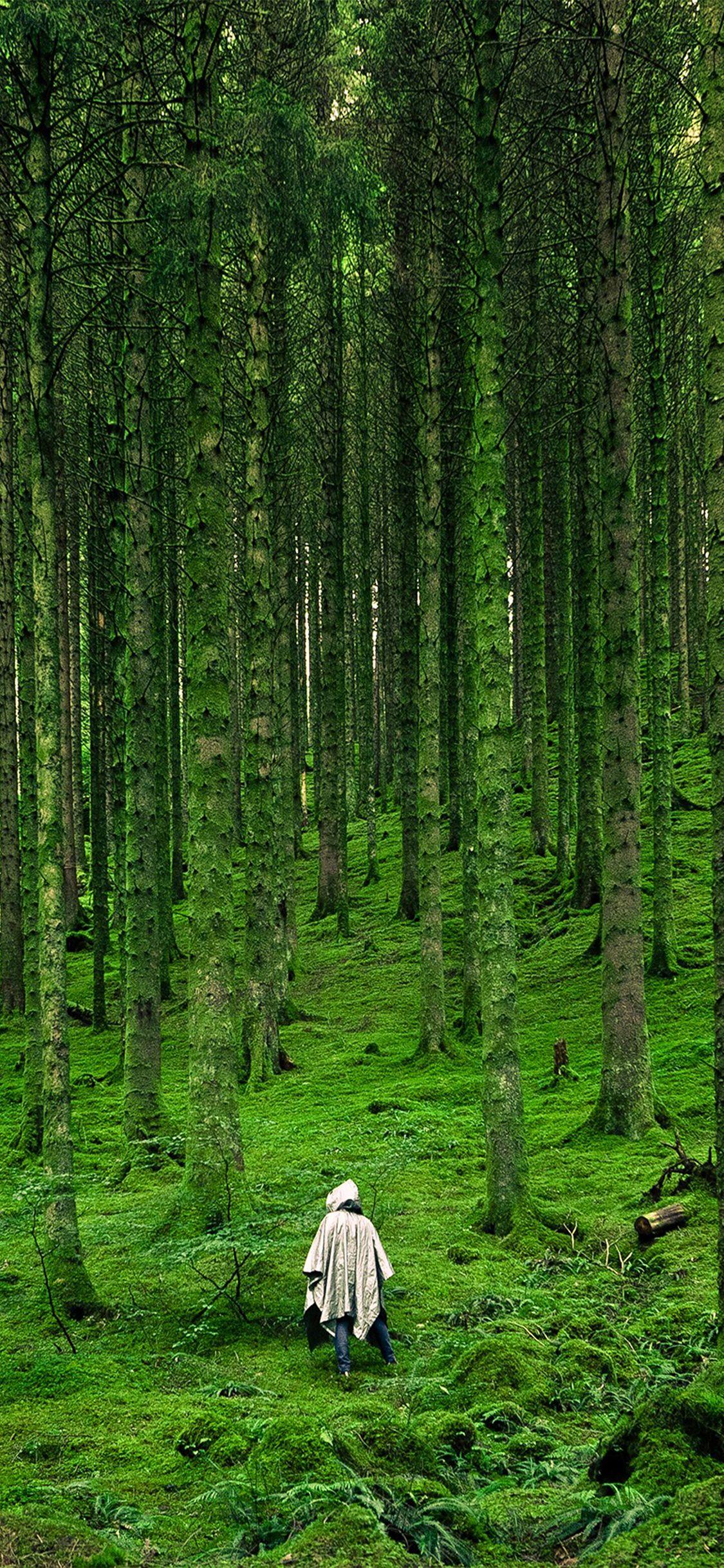 1125x2436 In Wood Forest Green Mountain Nature Wallpaper