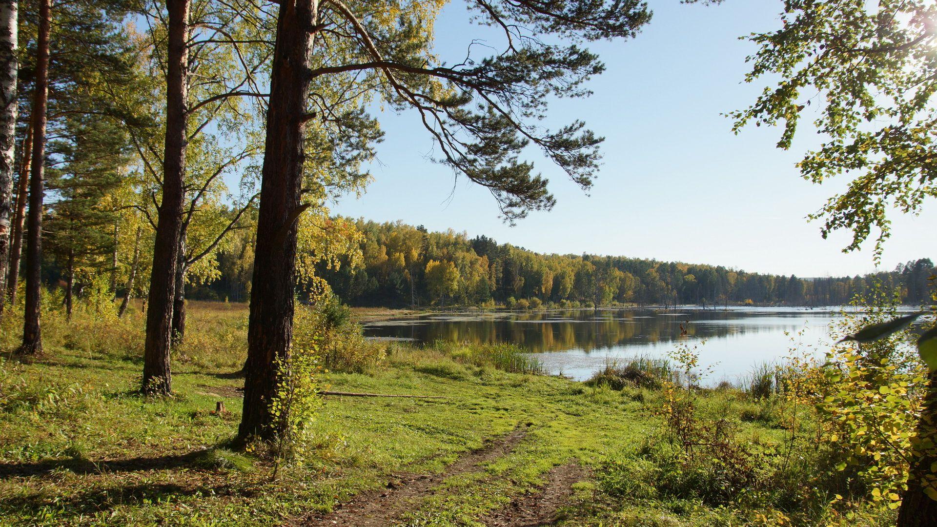 1920x1080 Picture Siberia Russia Summer Nature forest river Grass 1920x1080