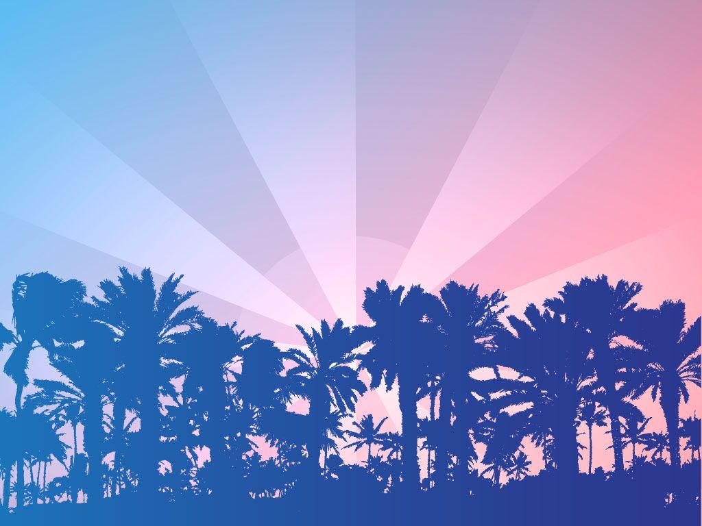 1024x768 Soft Palm Tree Horizon