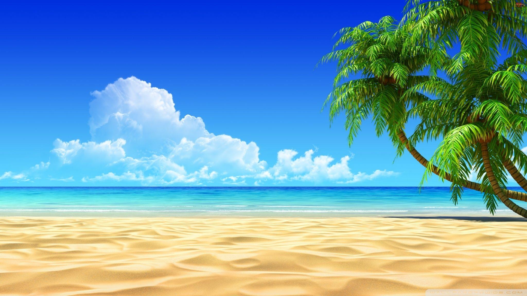 2048x1152 Palm Trees Ultra HD Desktop Background Wallpaper for : Widescreen & UltraWide Desktop & Laptop : Multi Display, Dual Monitor : Tablet