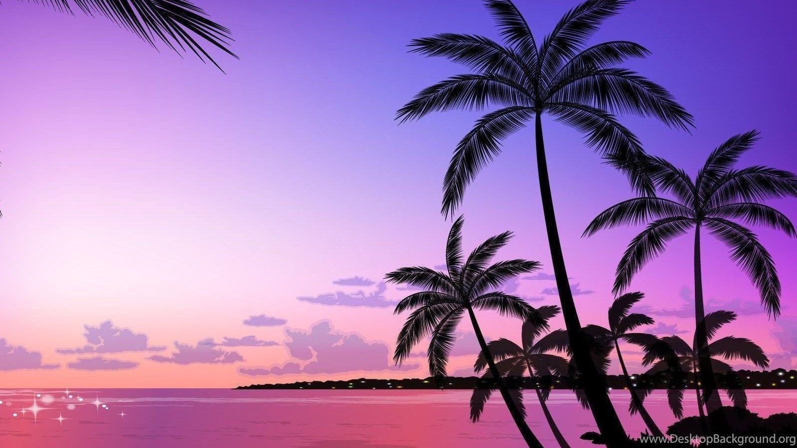 1600x900 Palm Tree HD Wallpaper, Palm Tree Background, New HD Wallpaper
