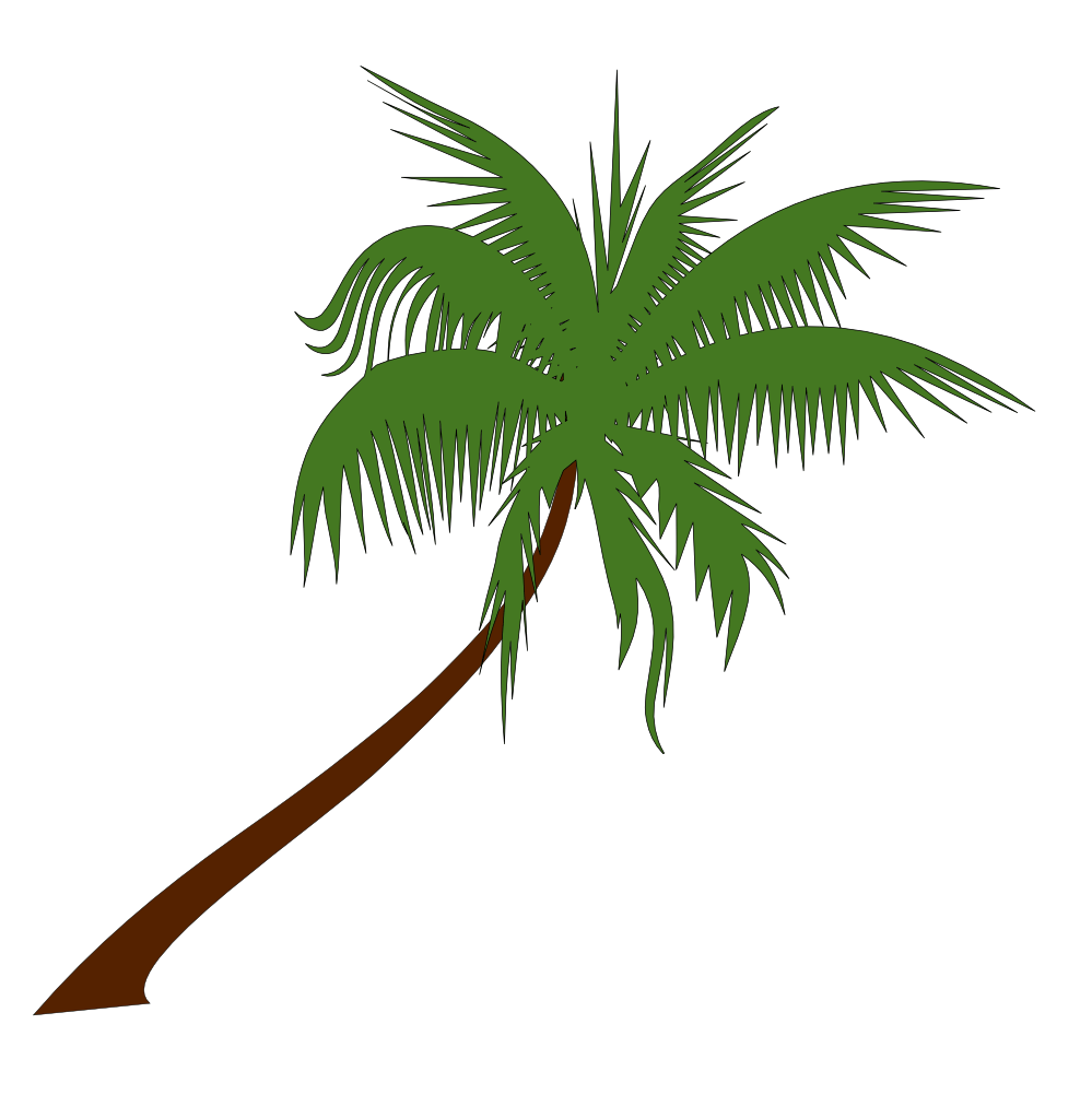 999x1002 Cp Paurb: Beach palm hammock Wallpaper Picture Photo Image