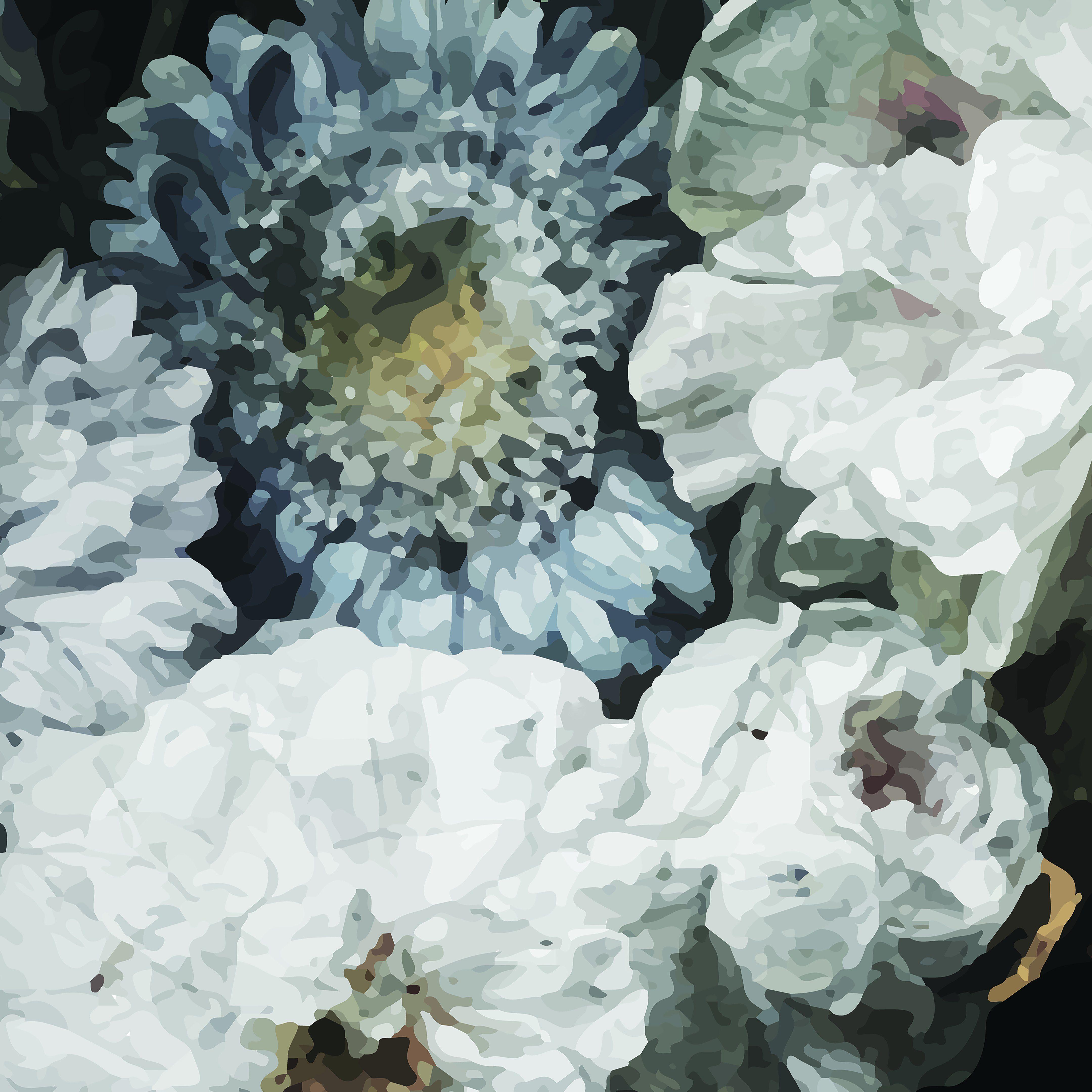 4320x4320 Dark Floral Wallpaper. Anewall Mural Wallpaper