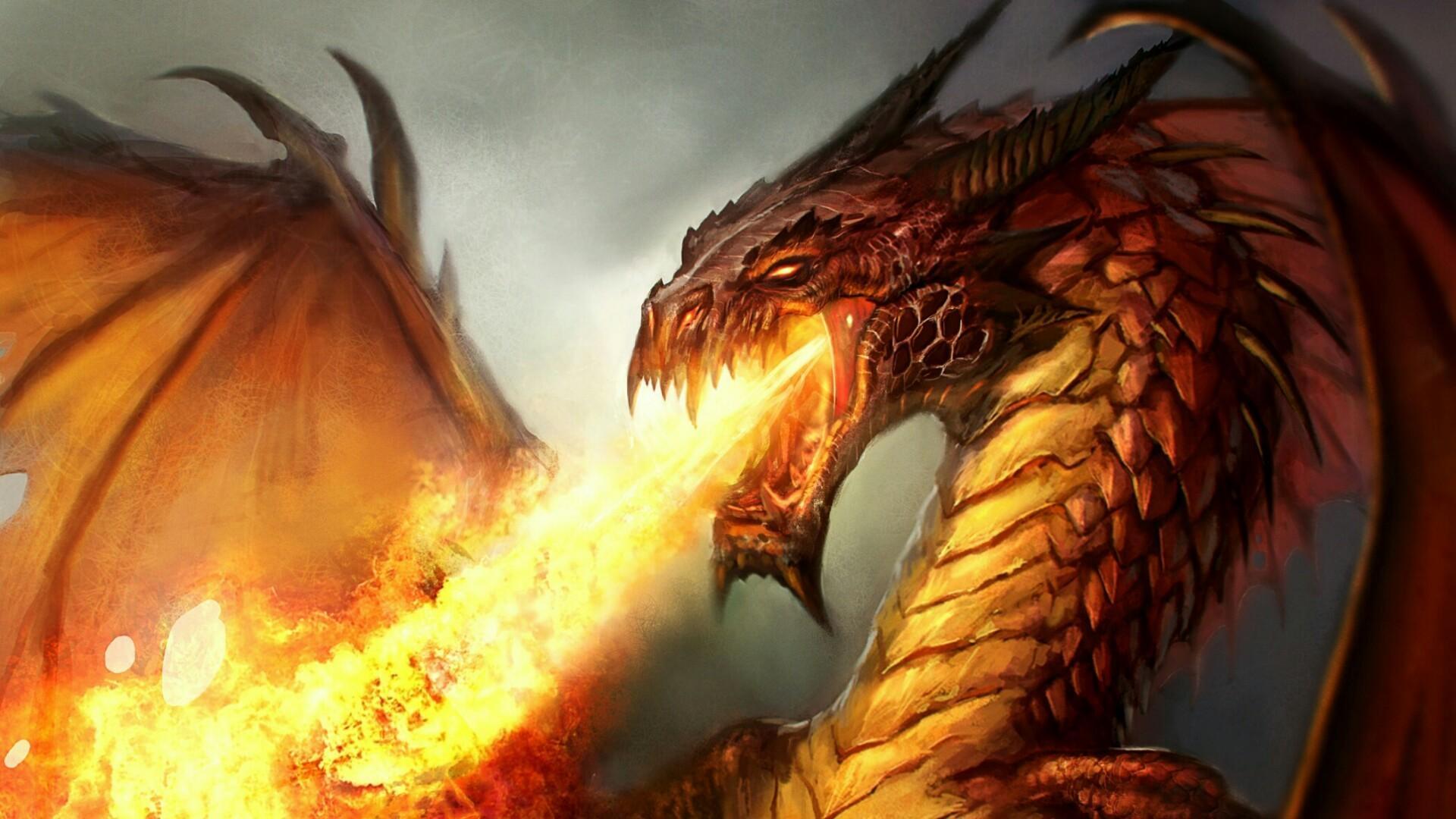1920x1080 Fire And Dragon Wallpaper
