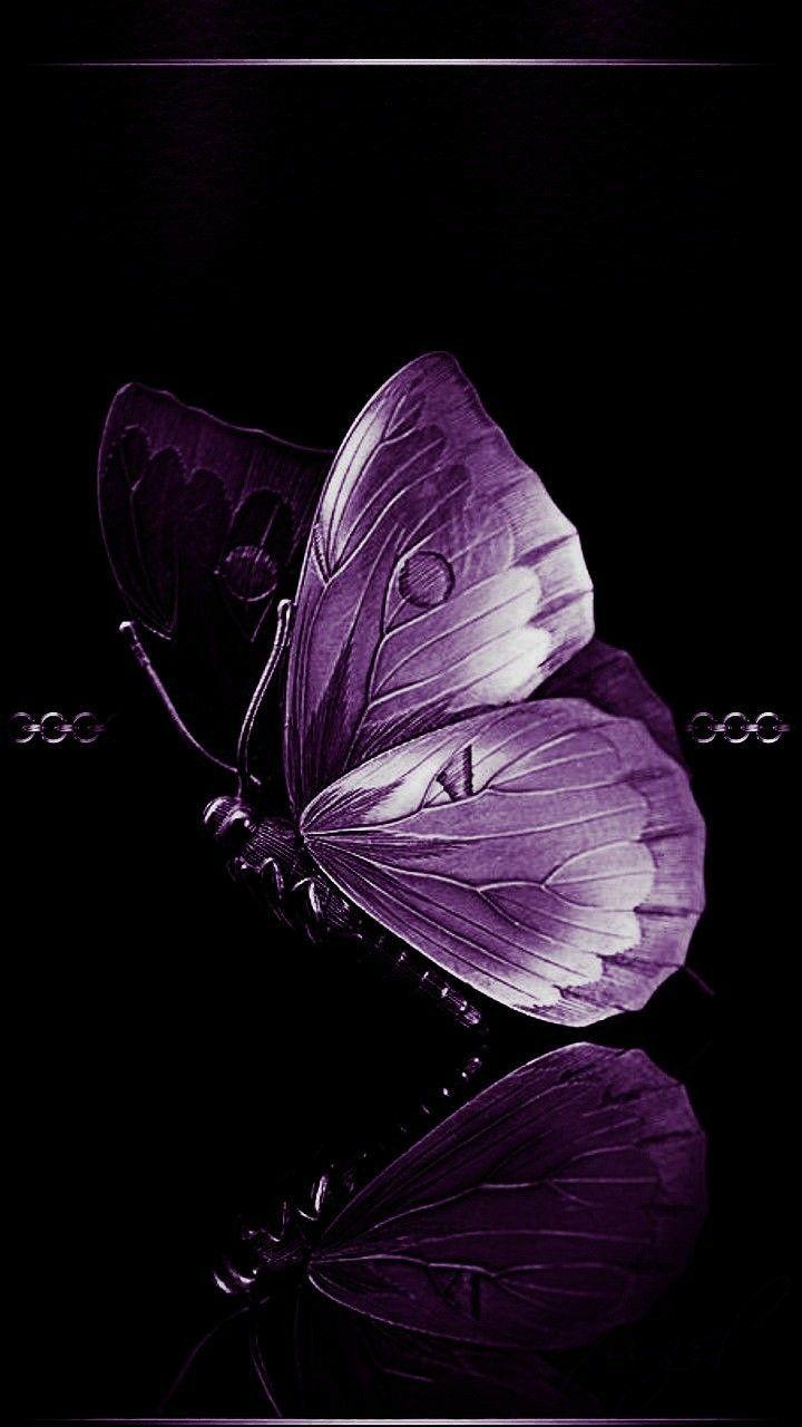 Dark Purple Butterfly Wallpapers - Top Những Hình Ảnh Đẹp