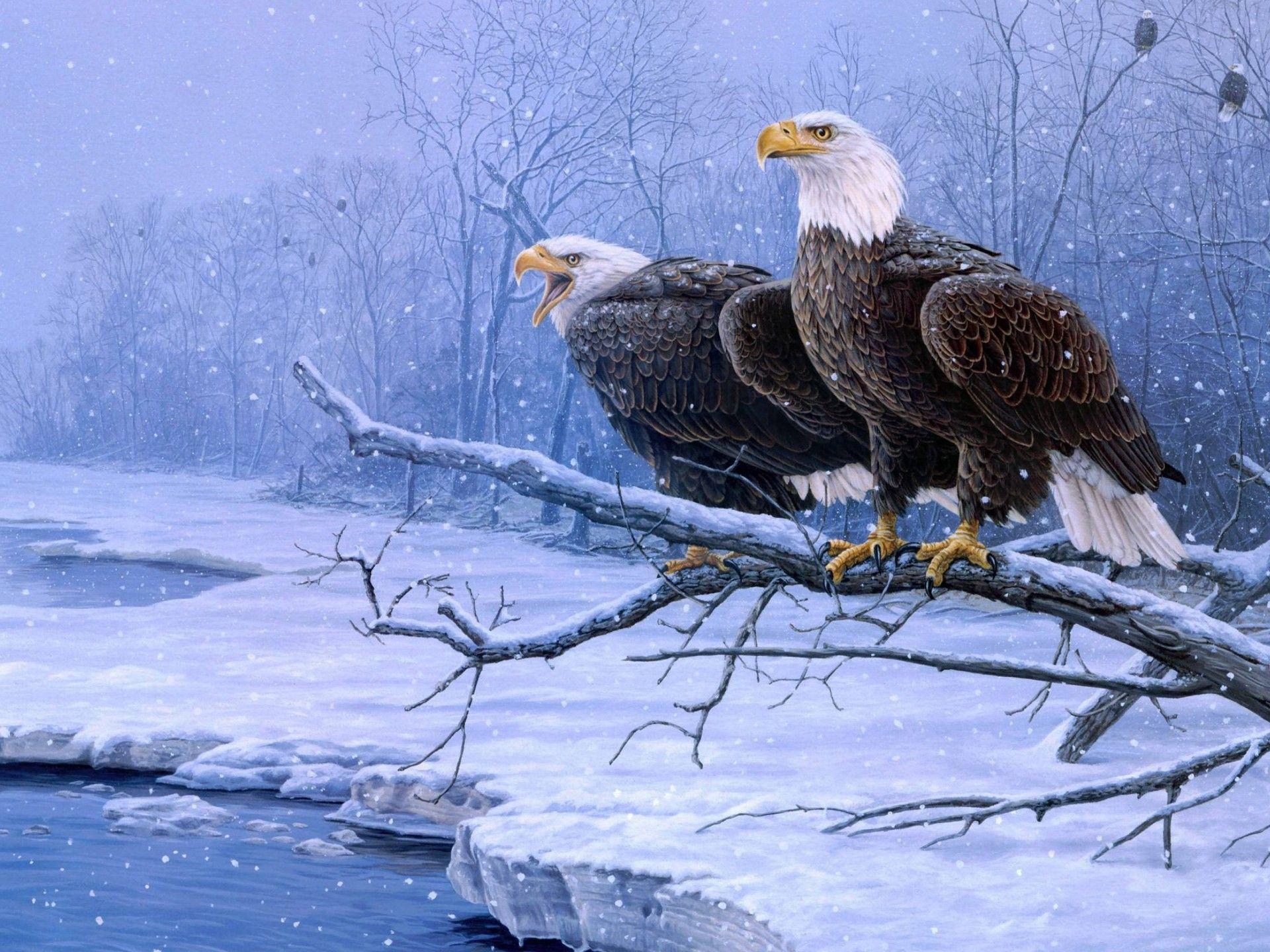 1920x1440 Bald Eagles Branch Winter River Snow Wallpaper HD For Desktop