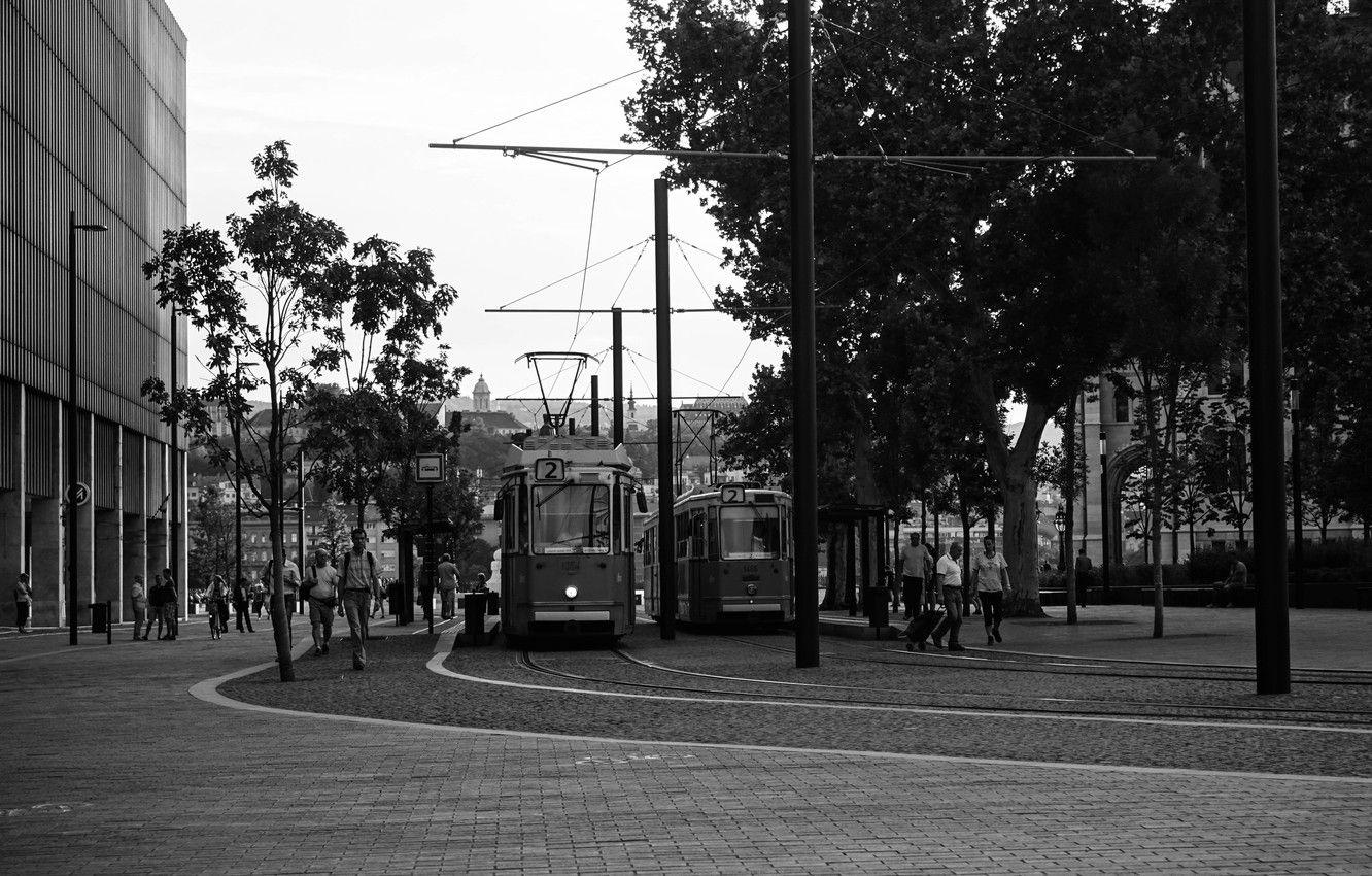 1332x850 Wallpaper the city, people, tram, Europe, black and white, Budapest, rangaroa image for desktop, section город