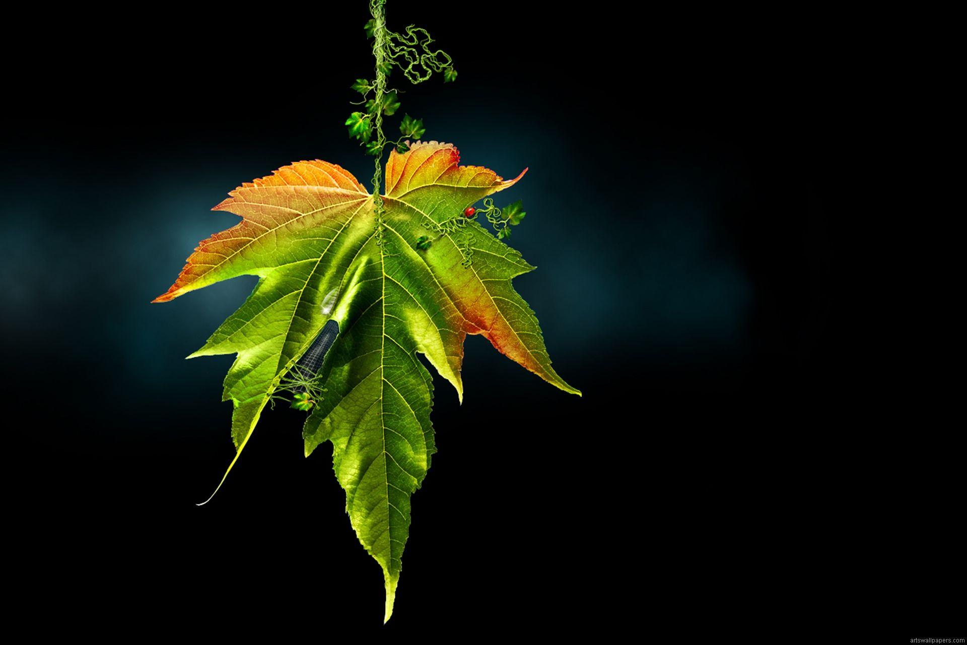 1920x1280 Admin Wallpaper. IT Admin Wallpaper, Network Admin Wallpaper and Virtual Admin Wallpaper